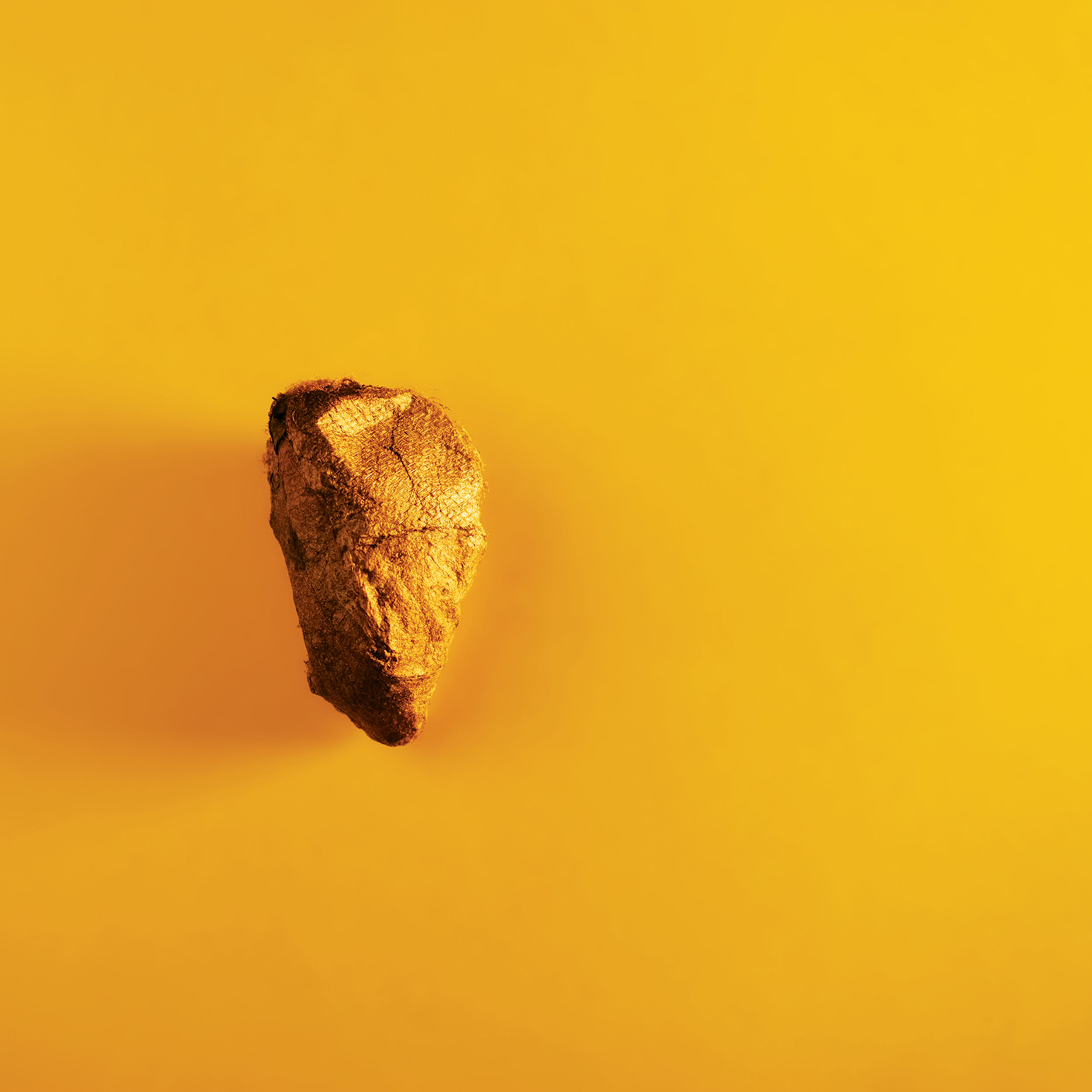 Cocoon  •  Album  •  2022