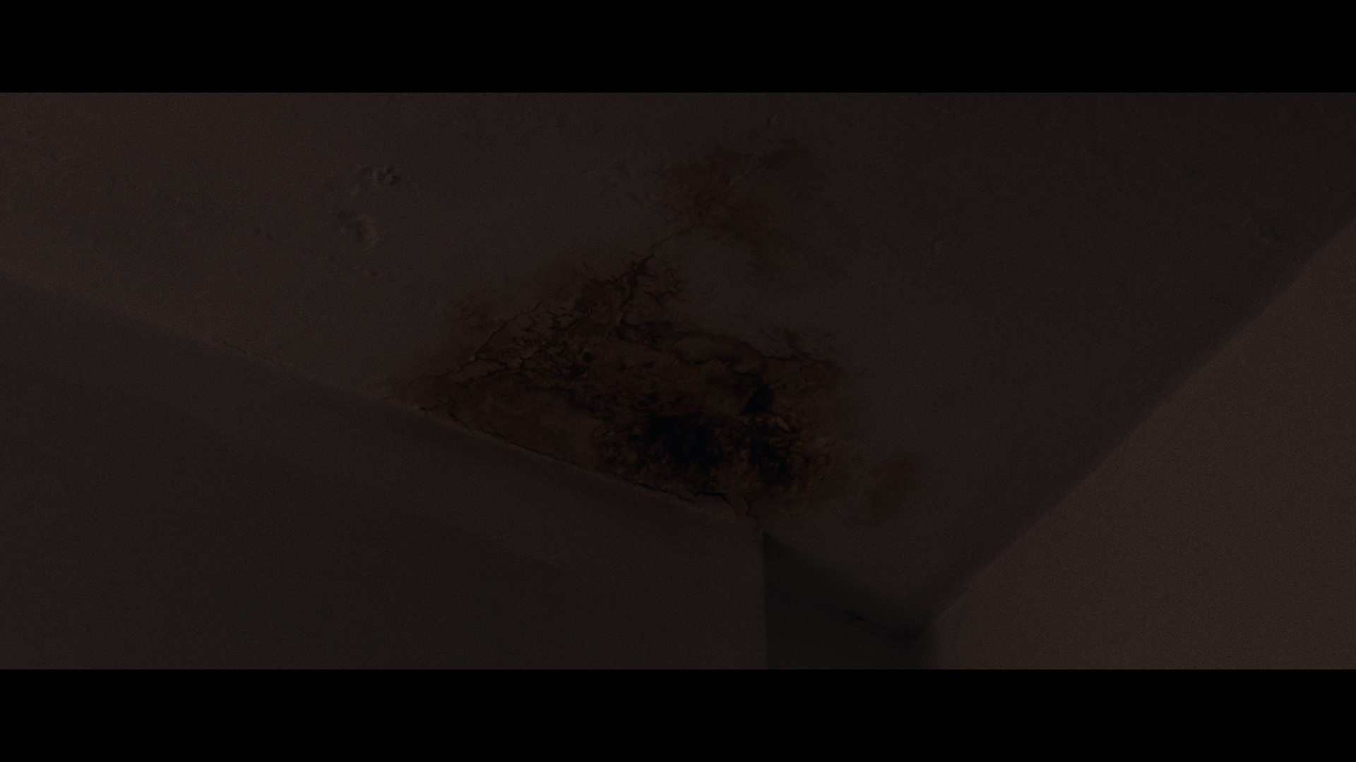 Timeline 1_01_16_40_21.png