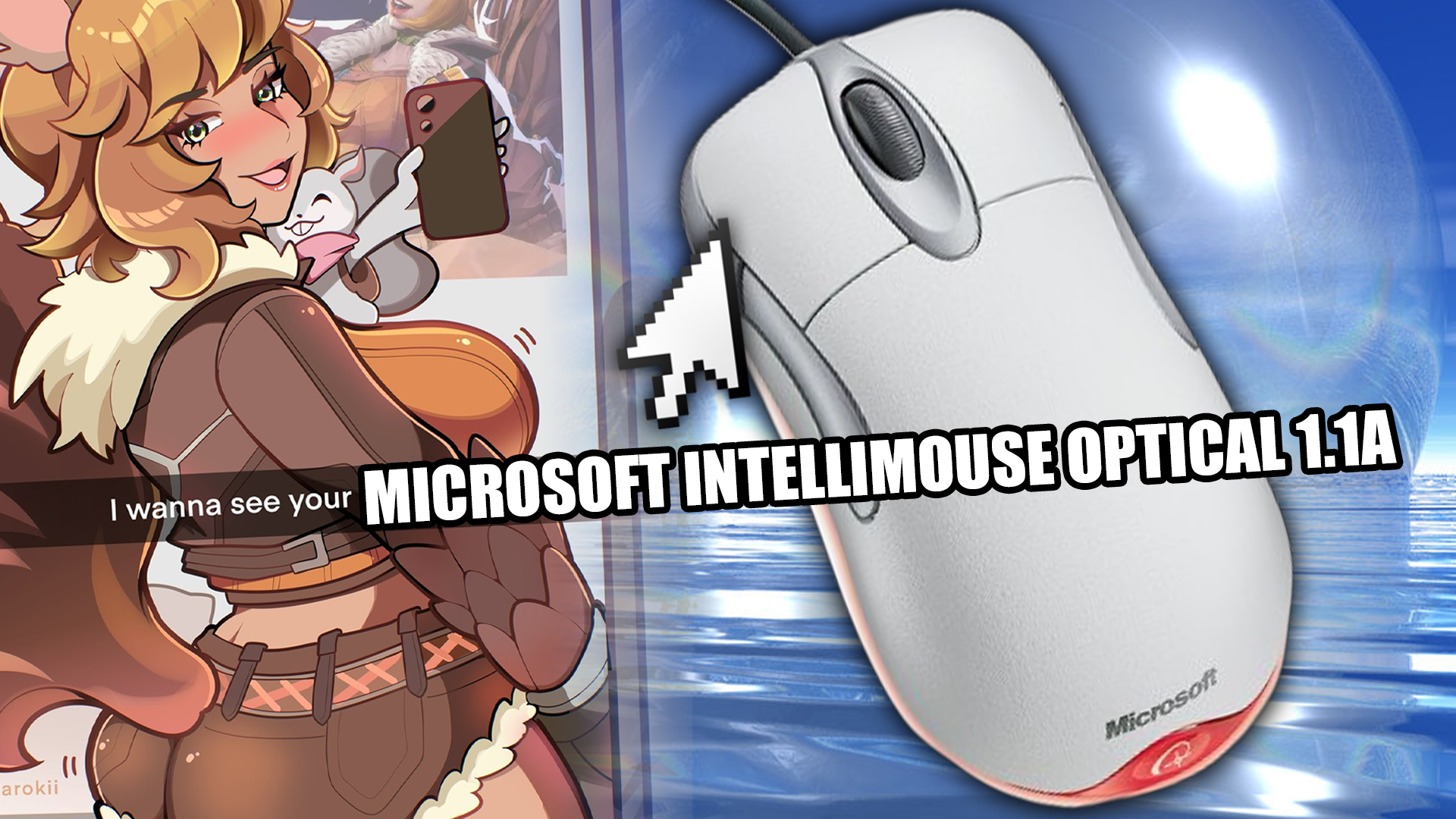 LAN1.png