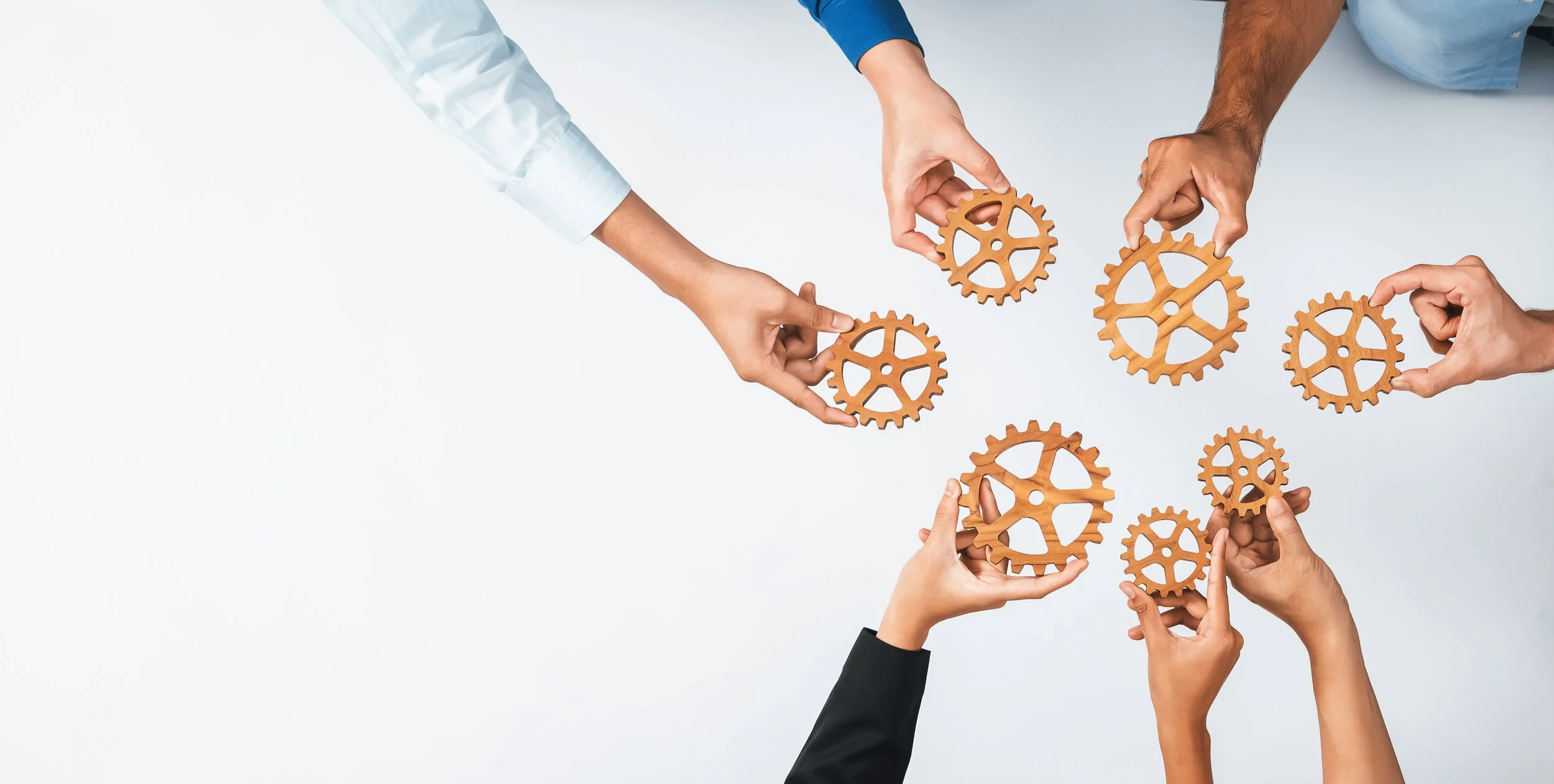 Why Organisational Ingredients Matter Most in Education