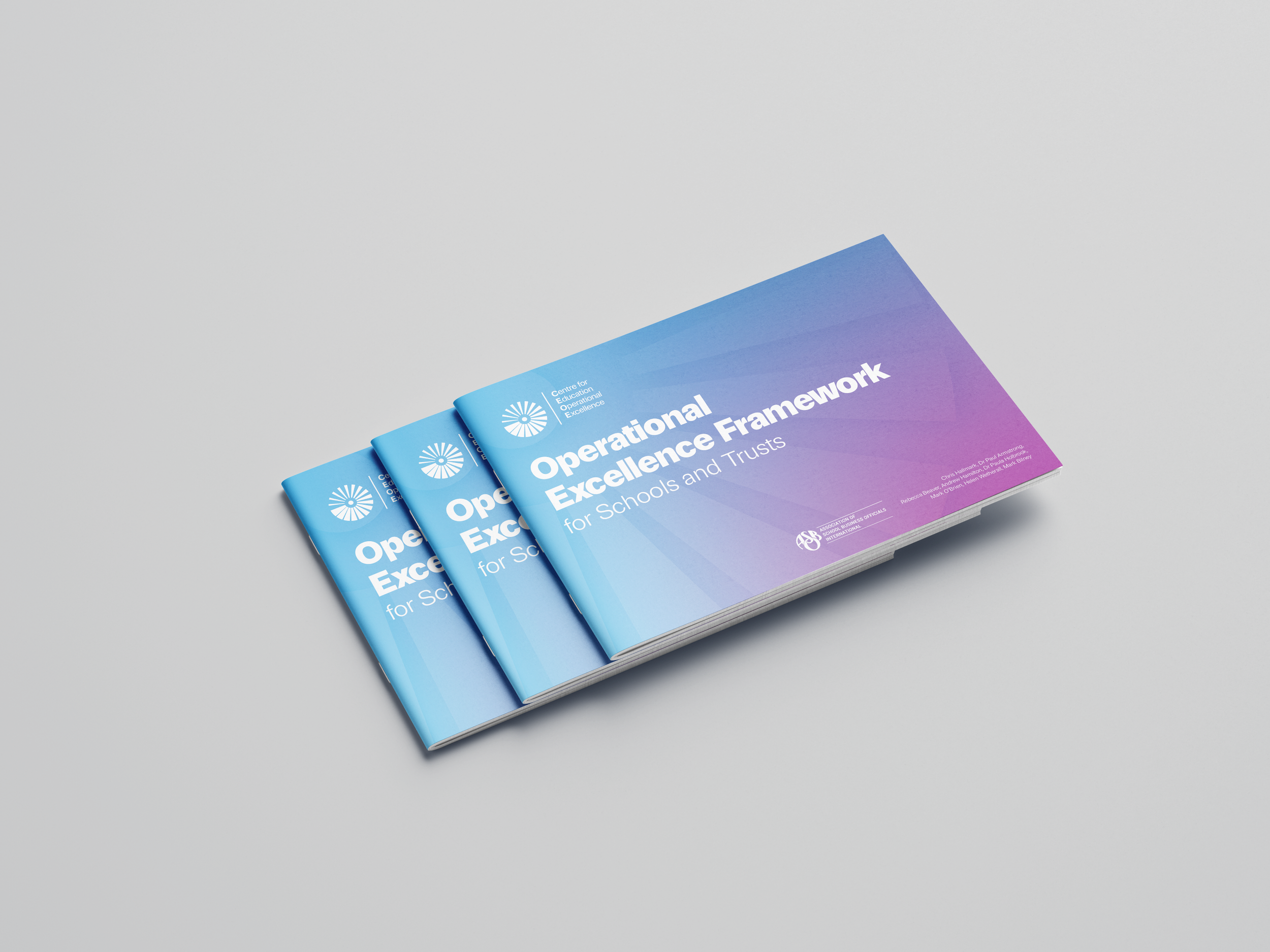 Operational Excellence Framework for Schools and Trusts&nbsp;