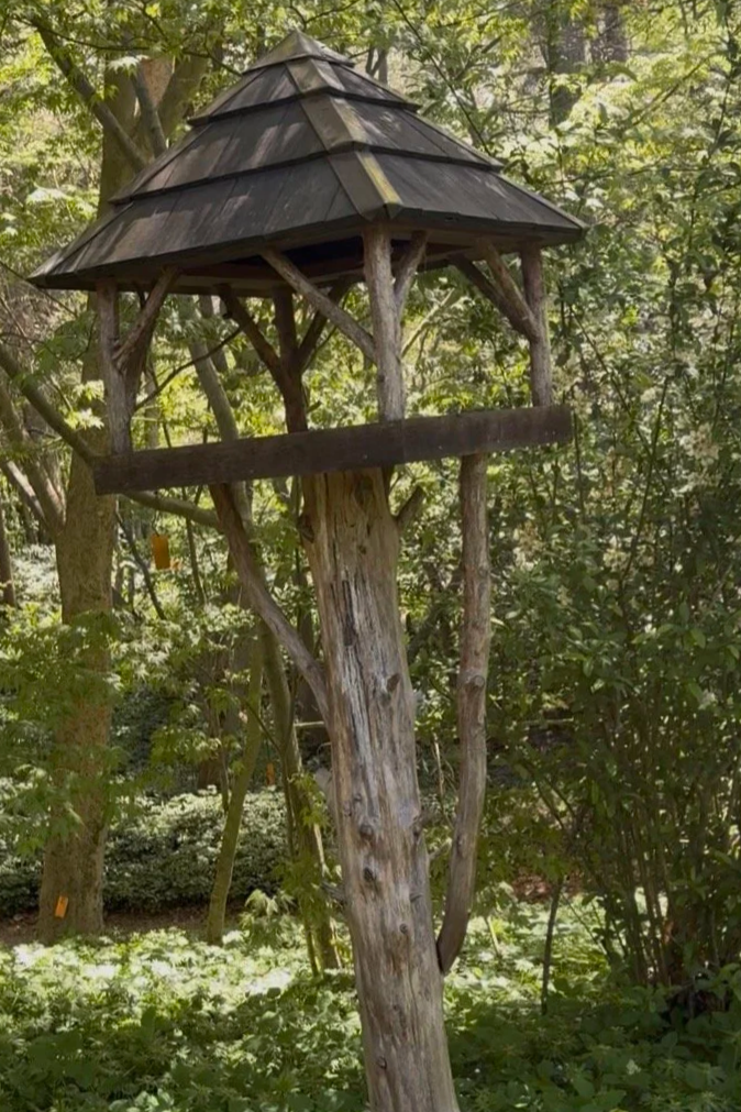 Birdhouse at Willowwood