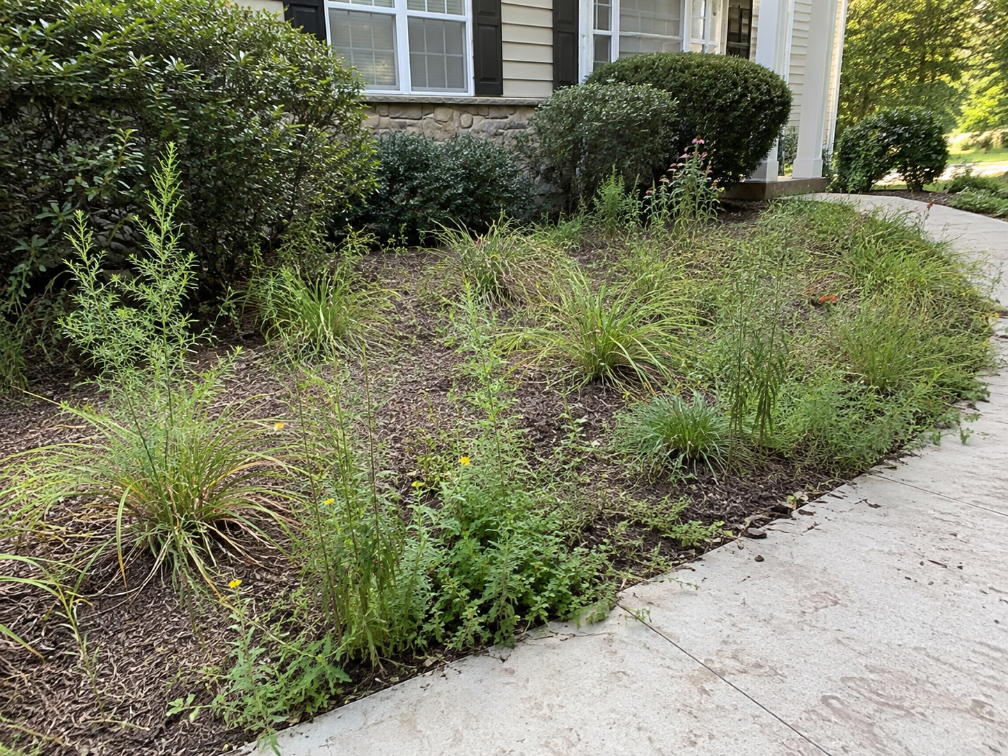 Landscaping Estimate