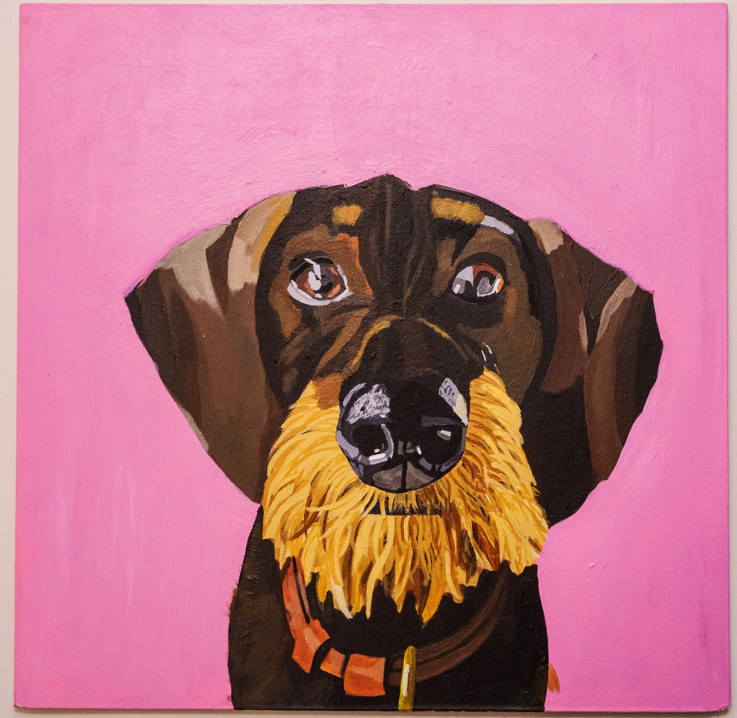 Acrylic Dog Portrait - Wirehaired Dachshund