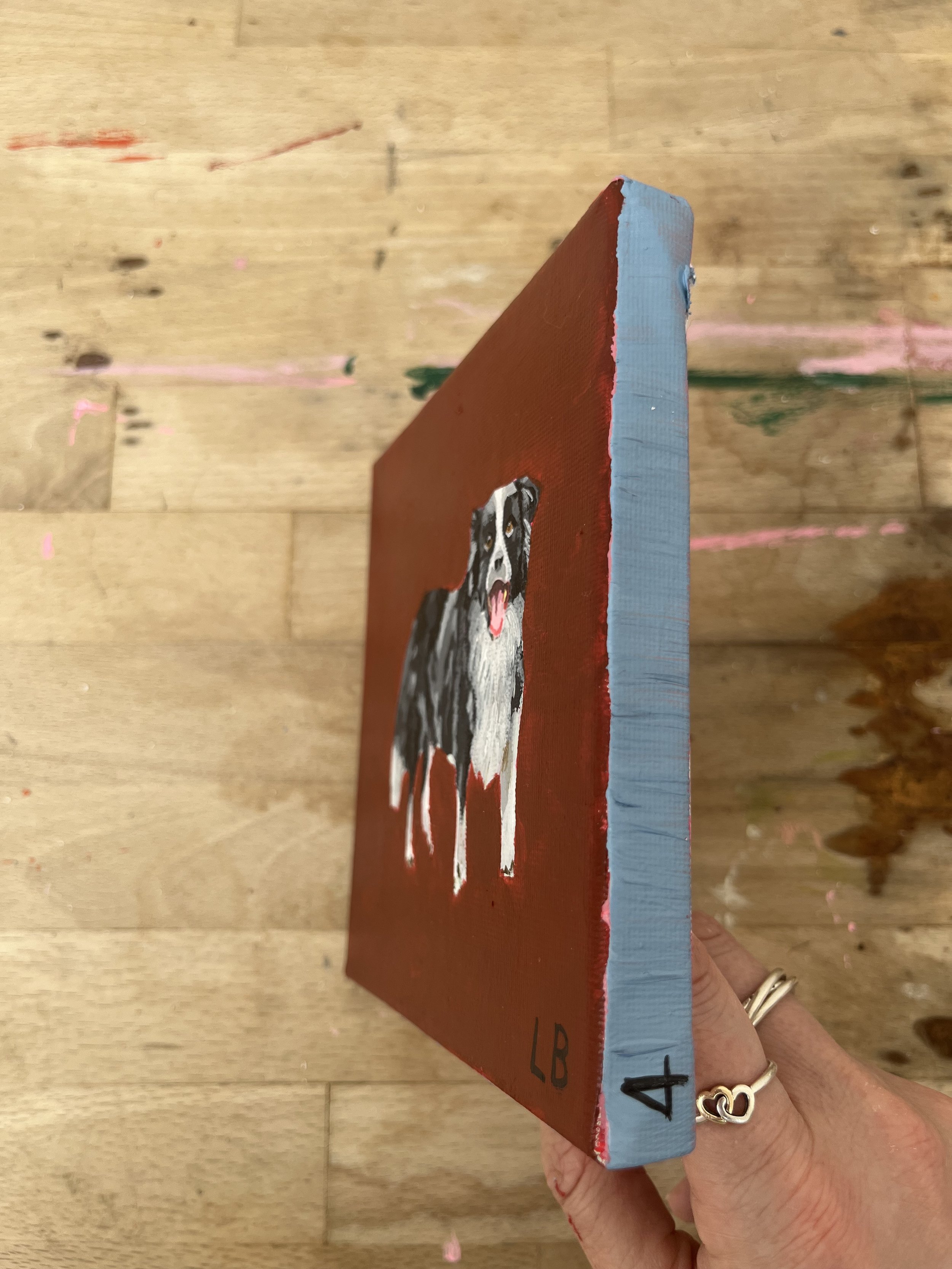Bordercollie.jpeg
