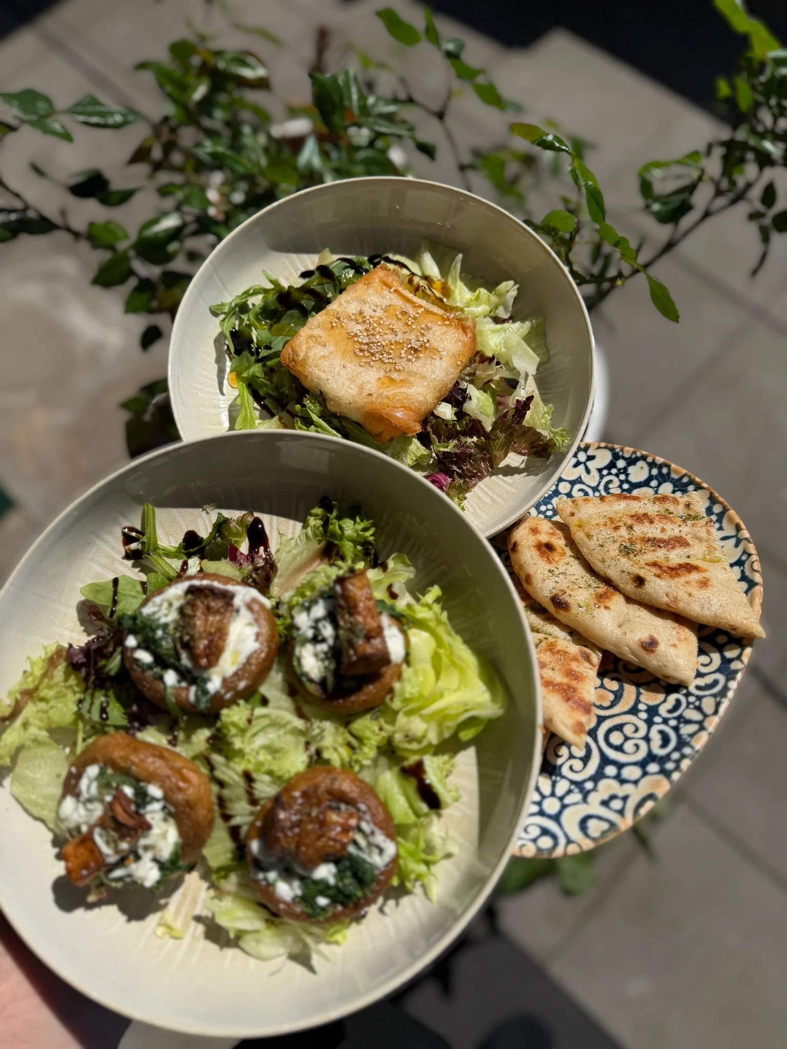 Gefüllte Champignons, Ziegenkäse im Blätterteig, Pita Brot