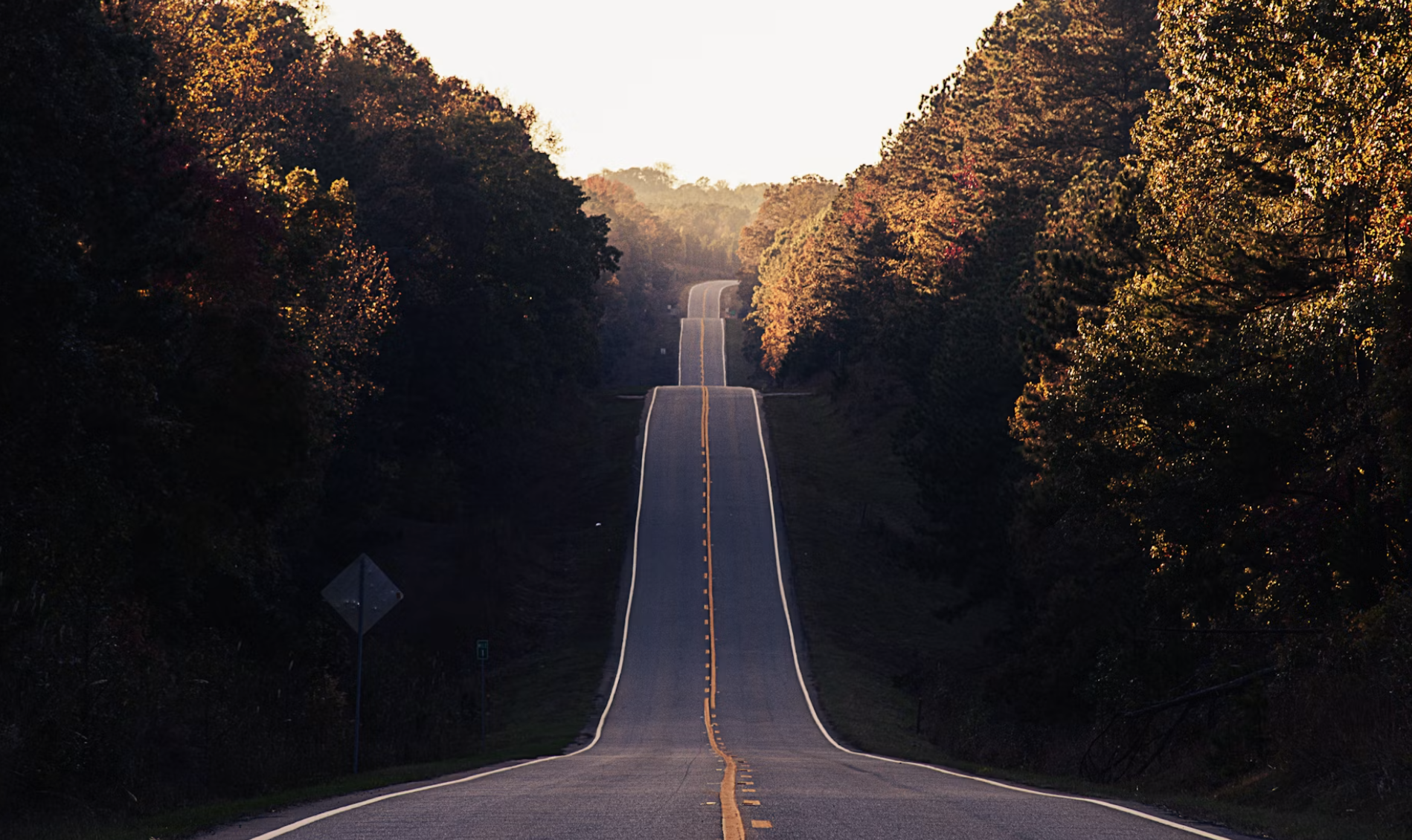 A long, winding road going through a forested area with trees showing fall colors, captured during sunset or sunrise.