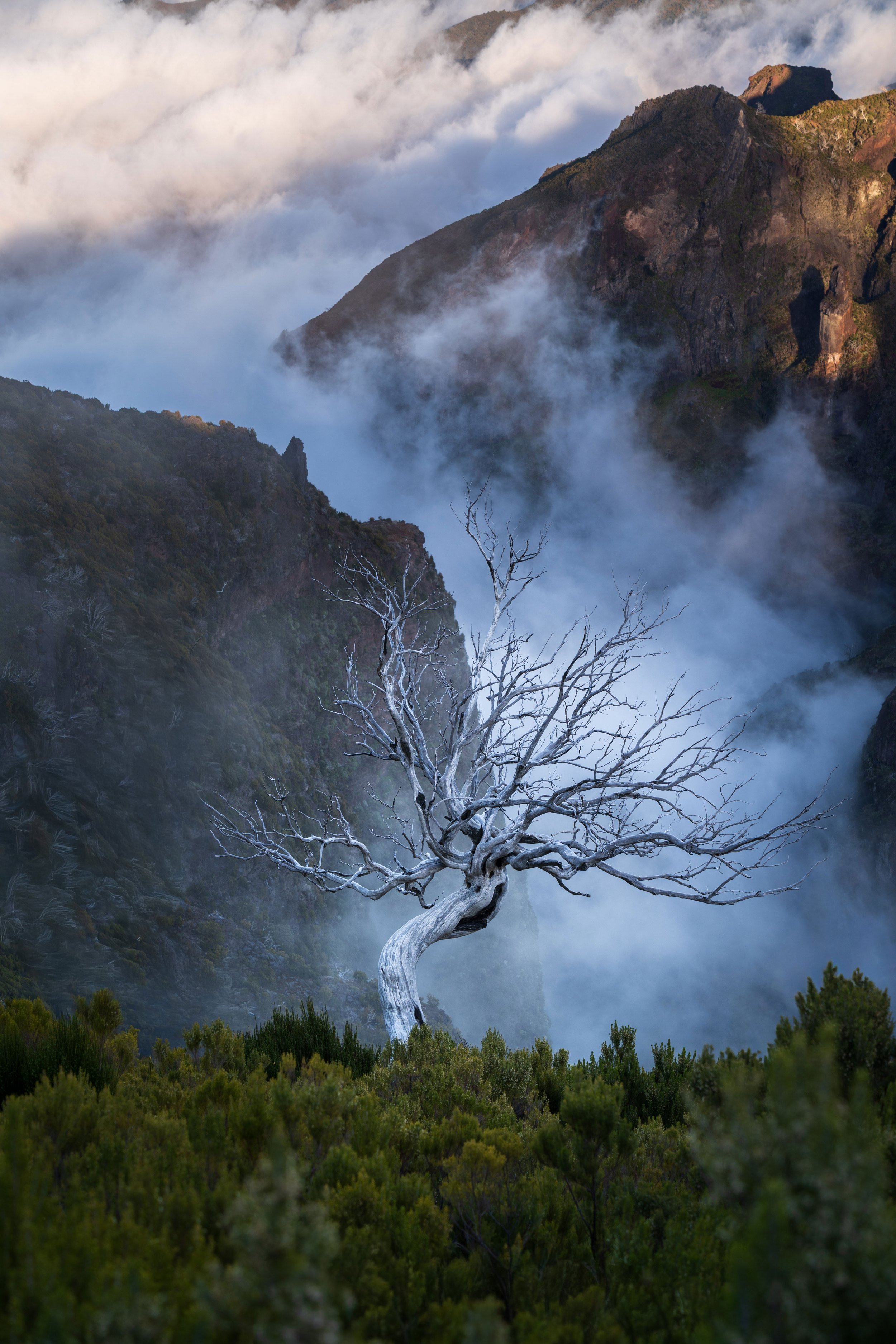 Portugal, Madeira, Path to Pico de Ruivo