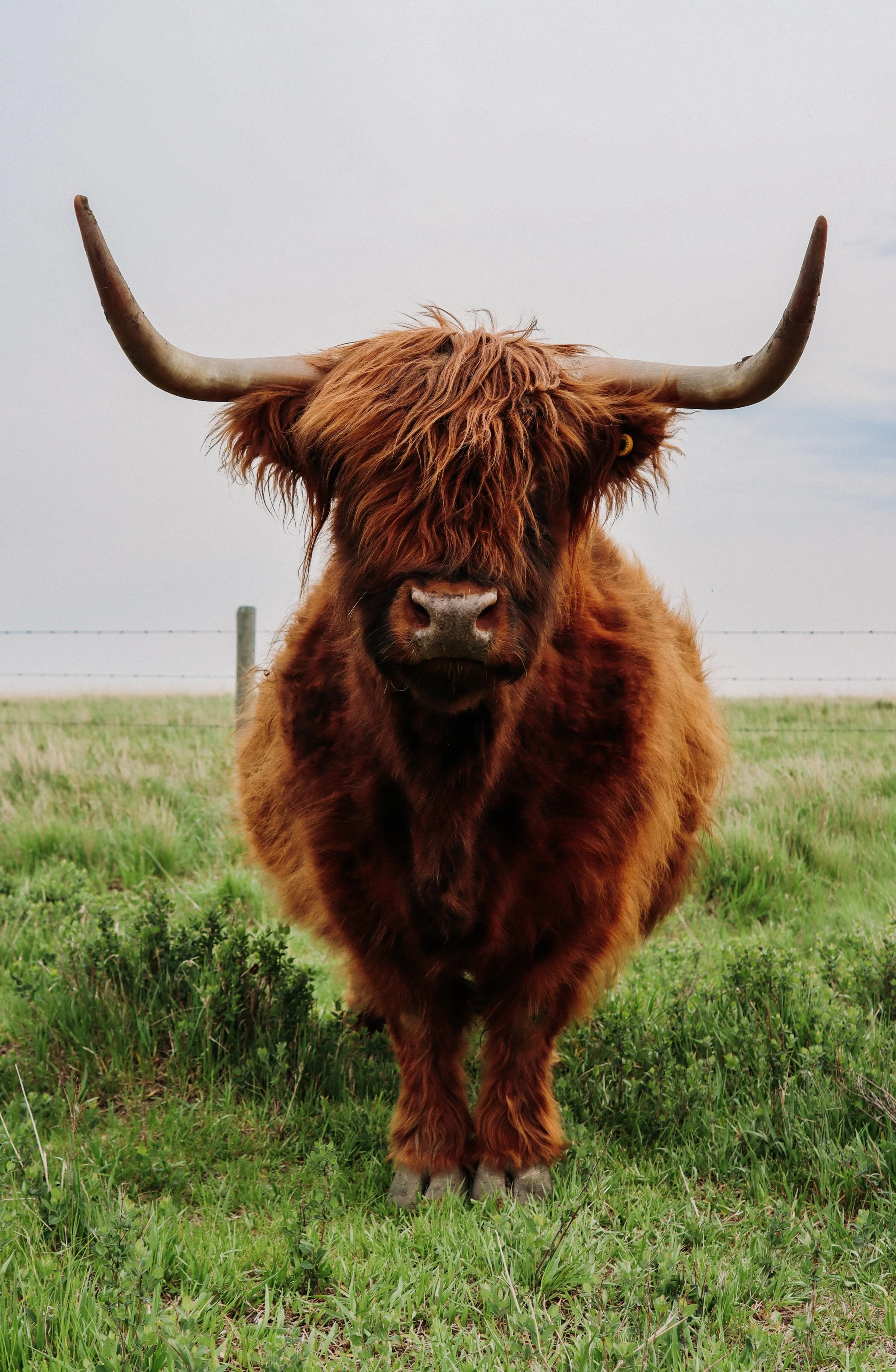 Monthly Highland Events