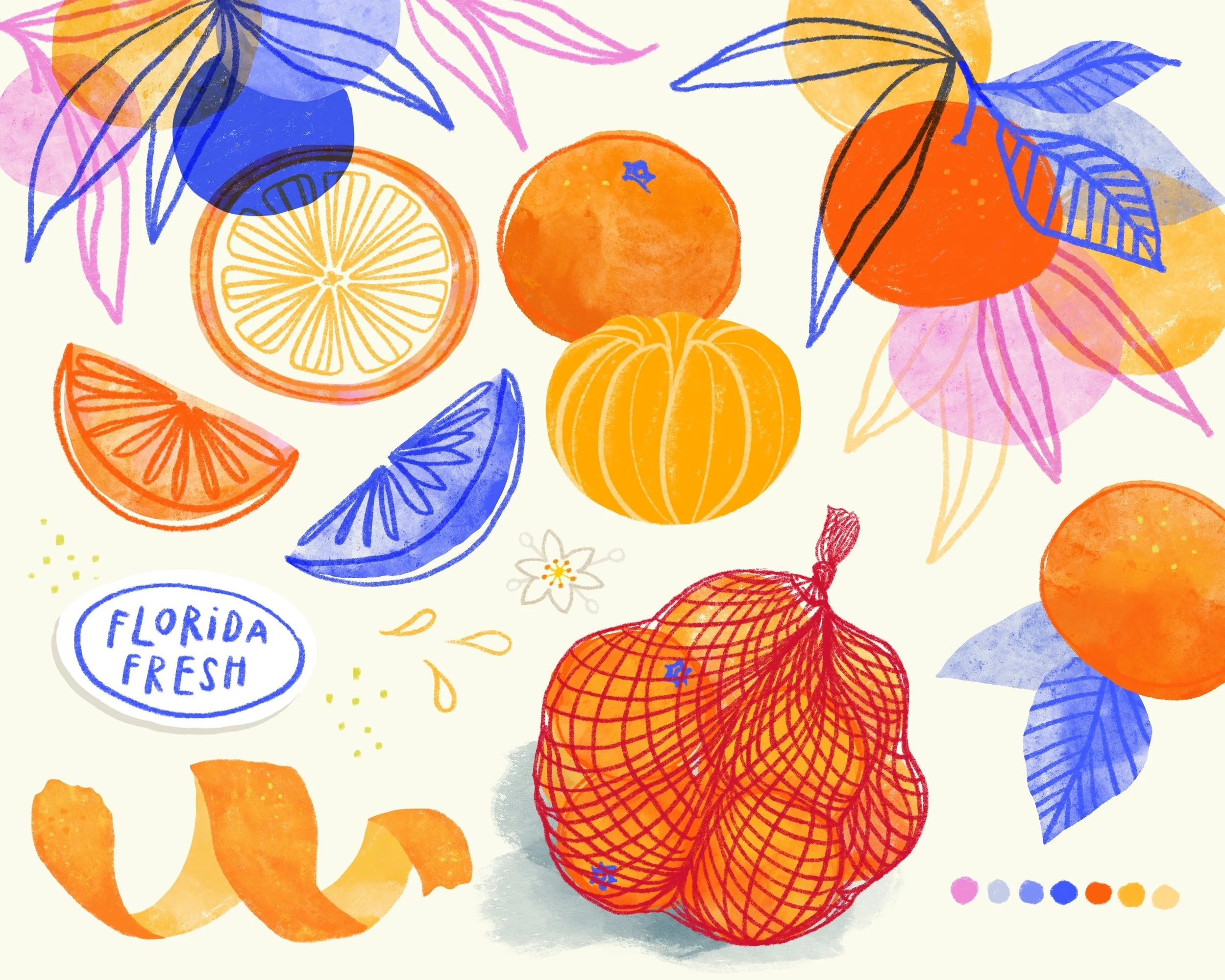 OrangeSketch.jpg