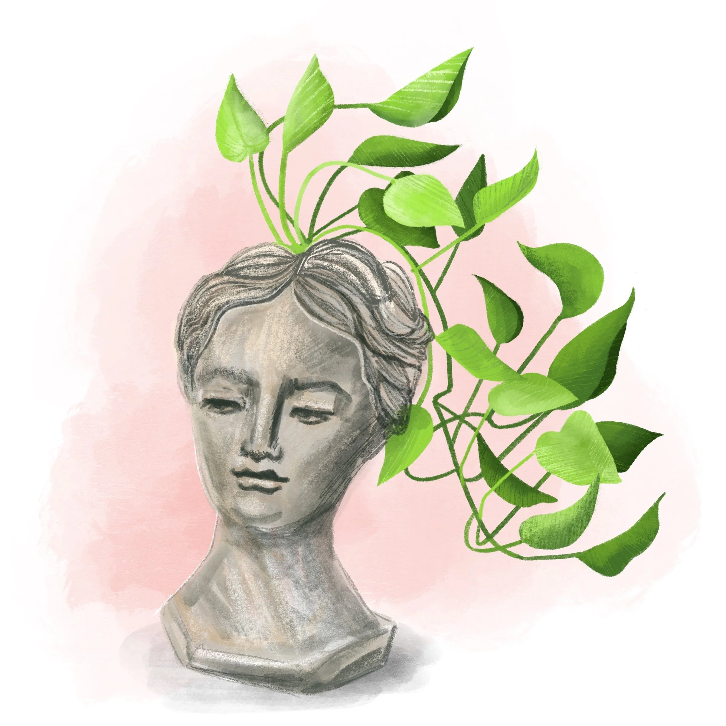 Plant_Head.jpg