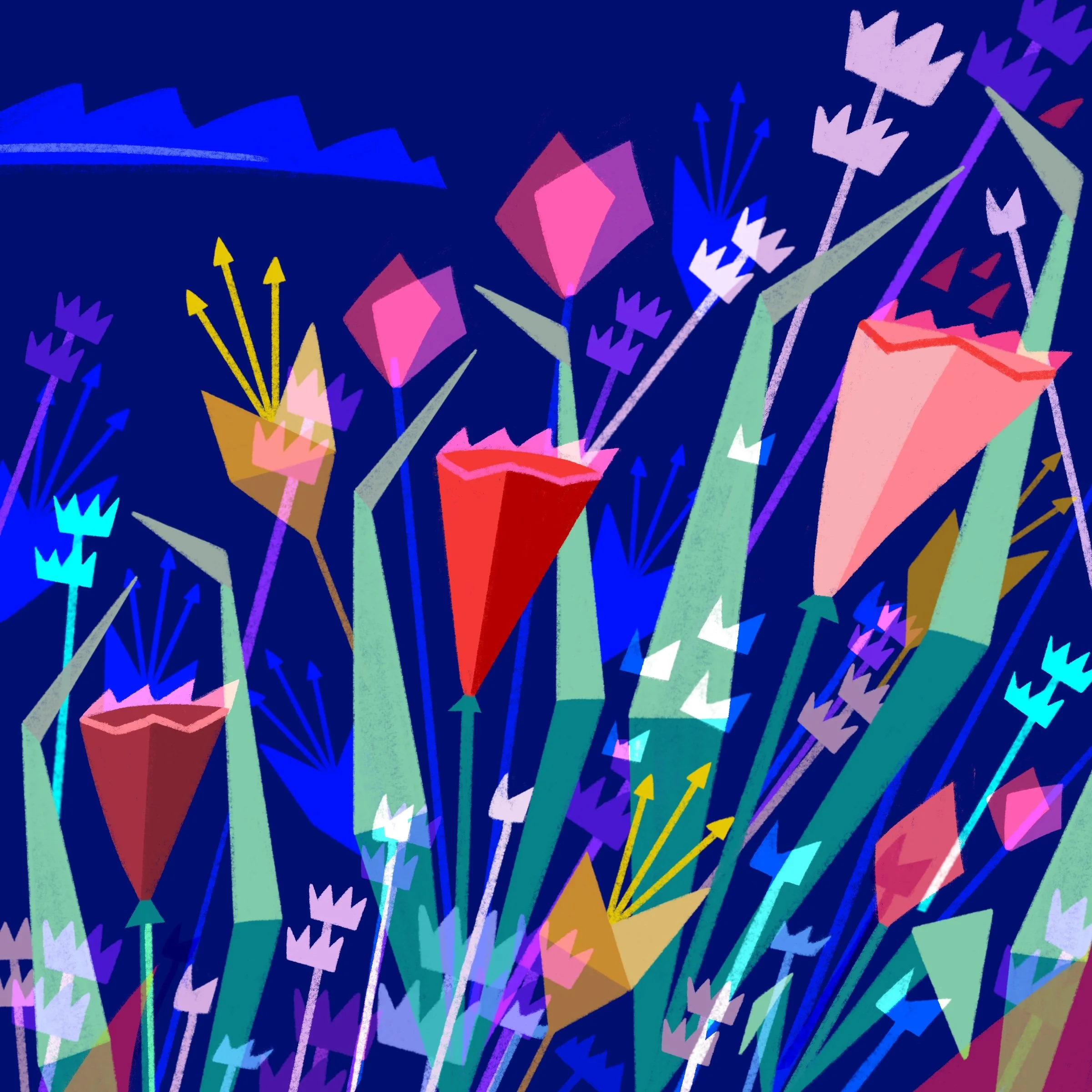 flower field.jpg