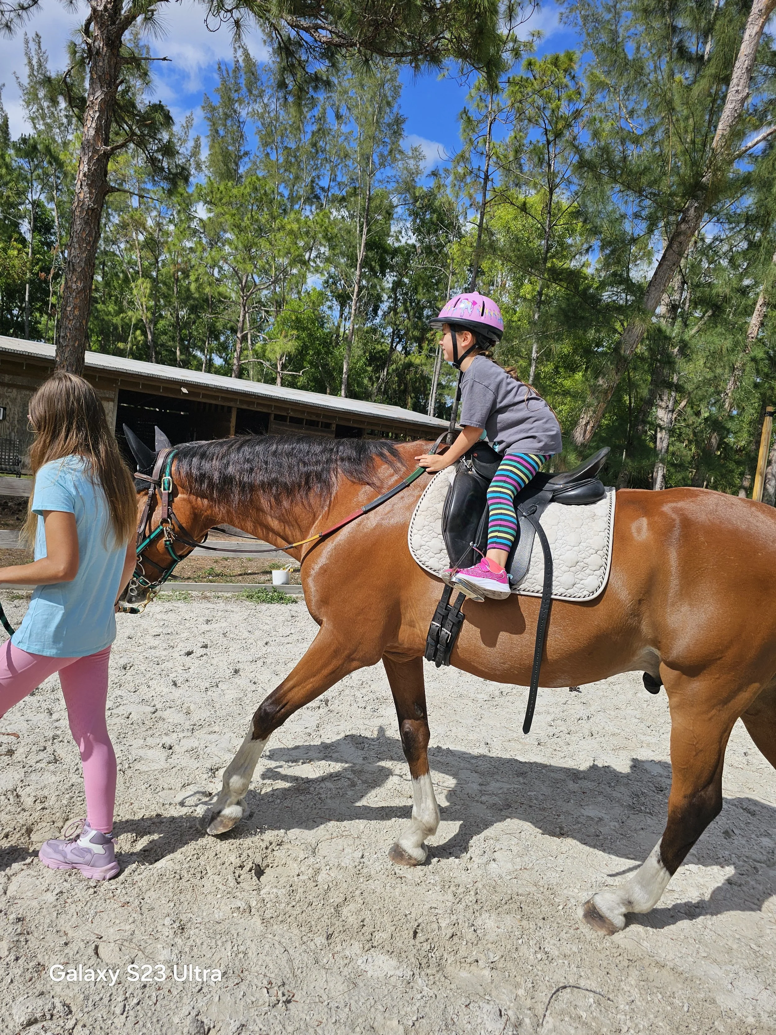 A young girl is riding a brown horse with a white saddle, while another girl leads the horse on a leash. The scene is set outdoors in a wooded area with tall trees and a building in the background. The girl riding the horse is wearing a pink helmet, 