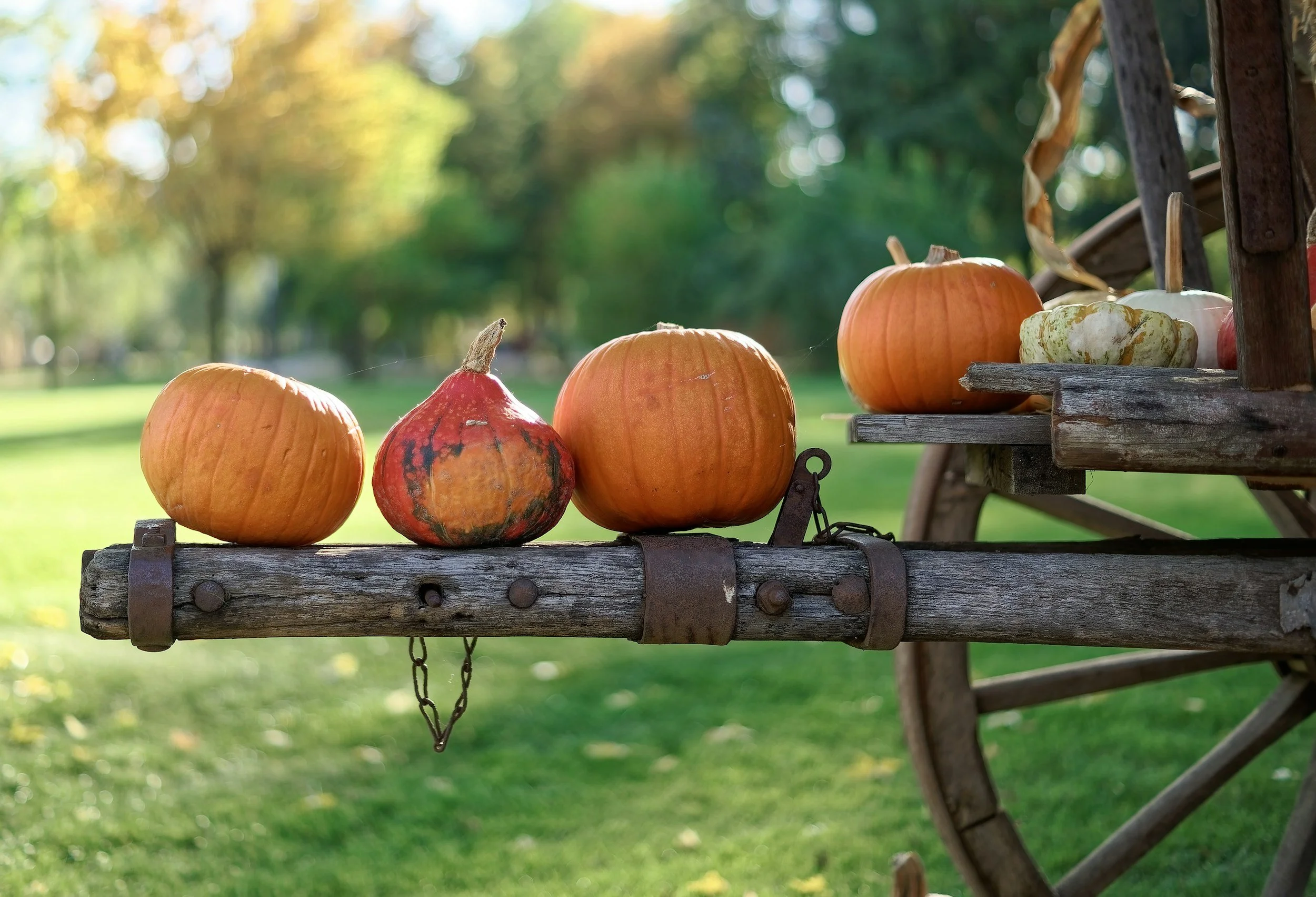 4th Annual Fall Festival 