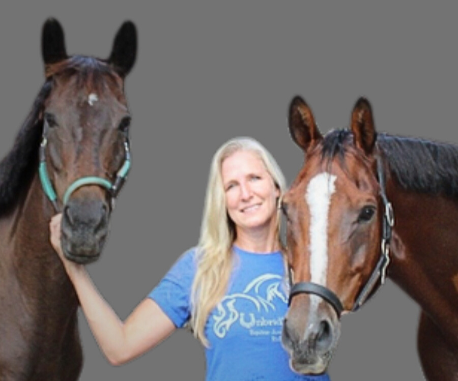 A woman with long blonde hair standing between two horses, holding the head of the horse on her left. The woman is smiling and wearing a blue T-shirt with white design. The horse on her right has a white stripe on its face.