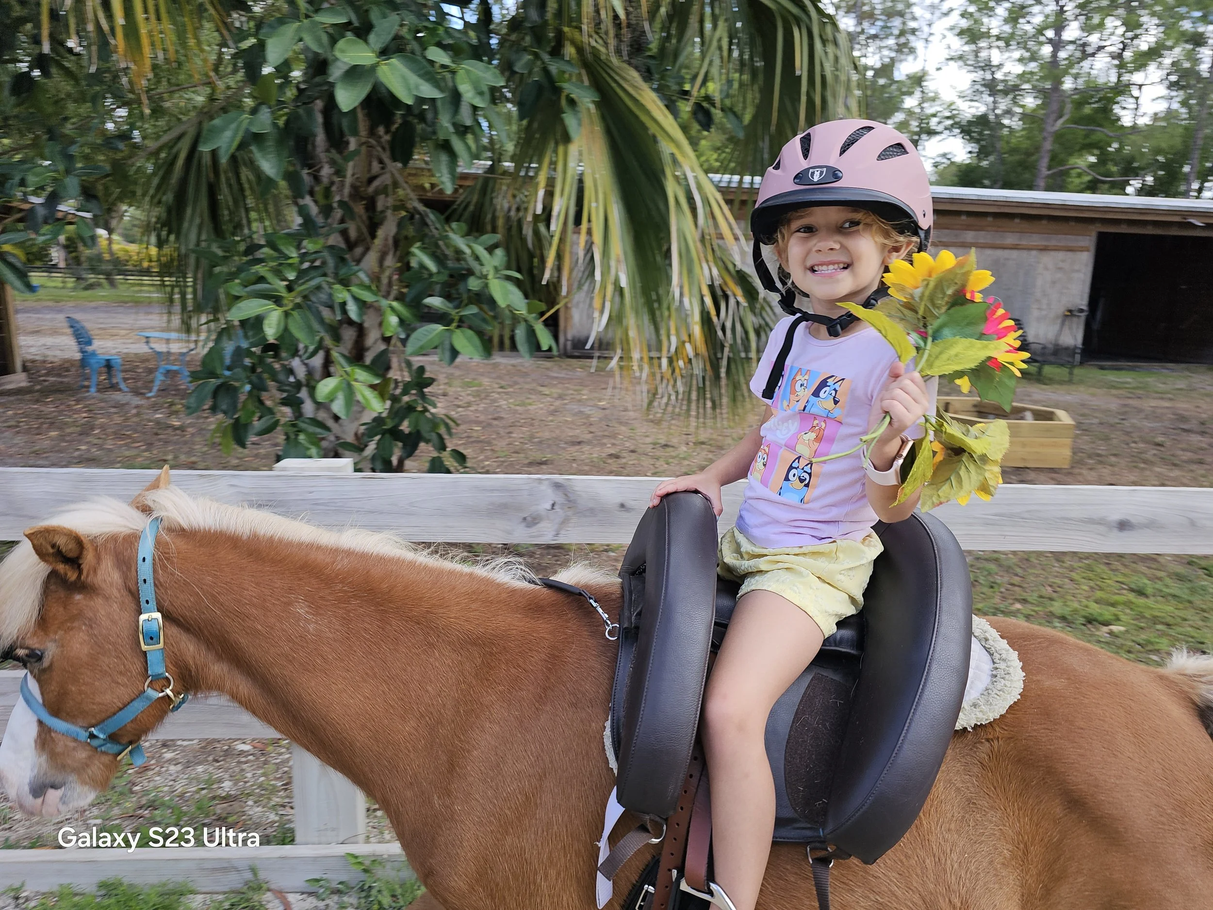 A young girl with a pink bike helmet sitting on a brown horse, holding a bouquet of sunflowers and smiling.
