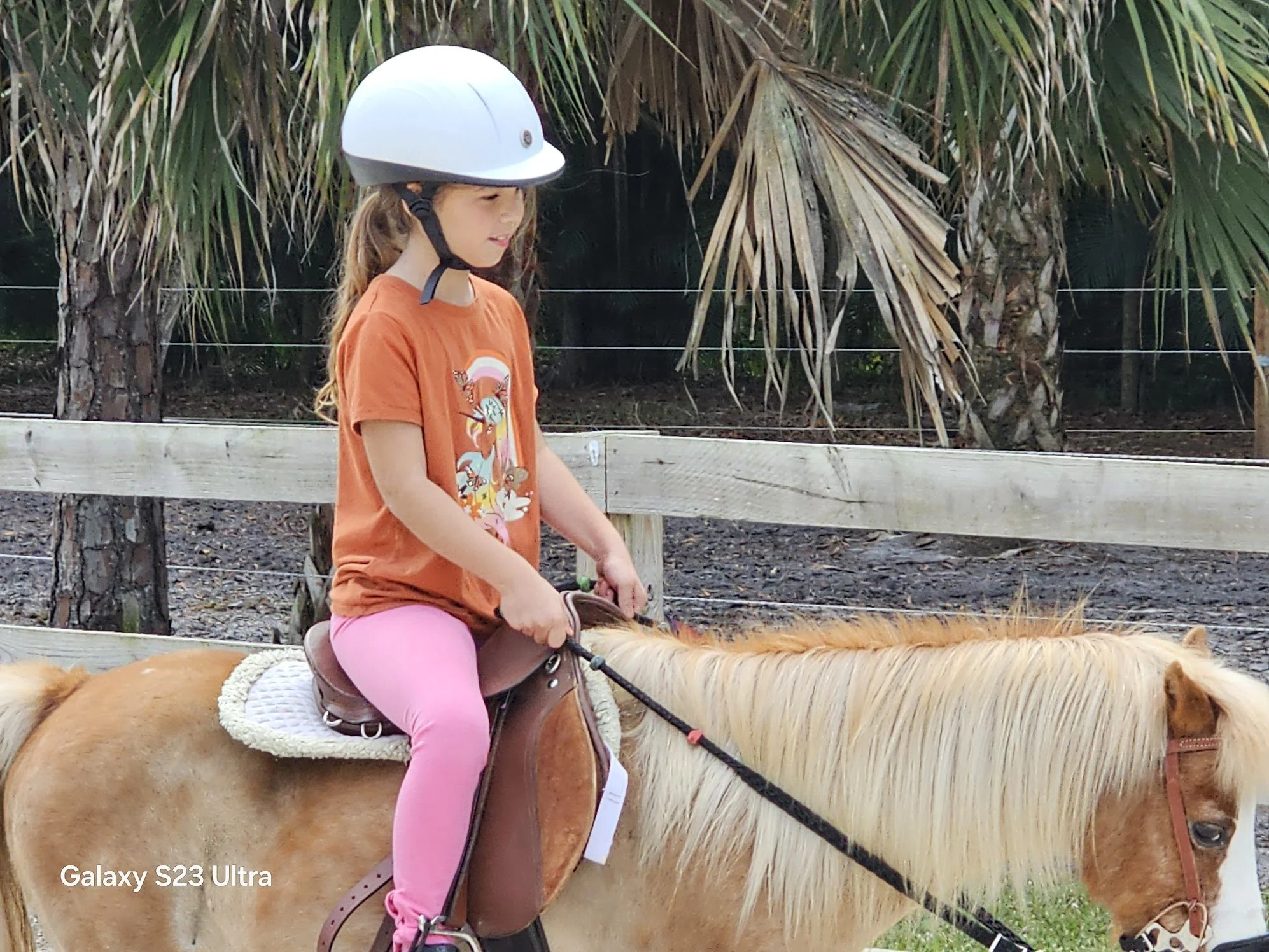 Young girl riding a light-colored pony with a white saddle and a girl wearing a white riding helmet and an orange shirt with a tiger graphic, pink pants, and pink shoes outdoors near a wooden fence and tropical trees.