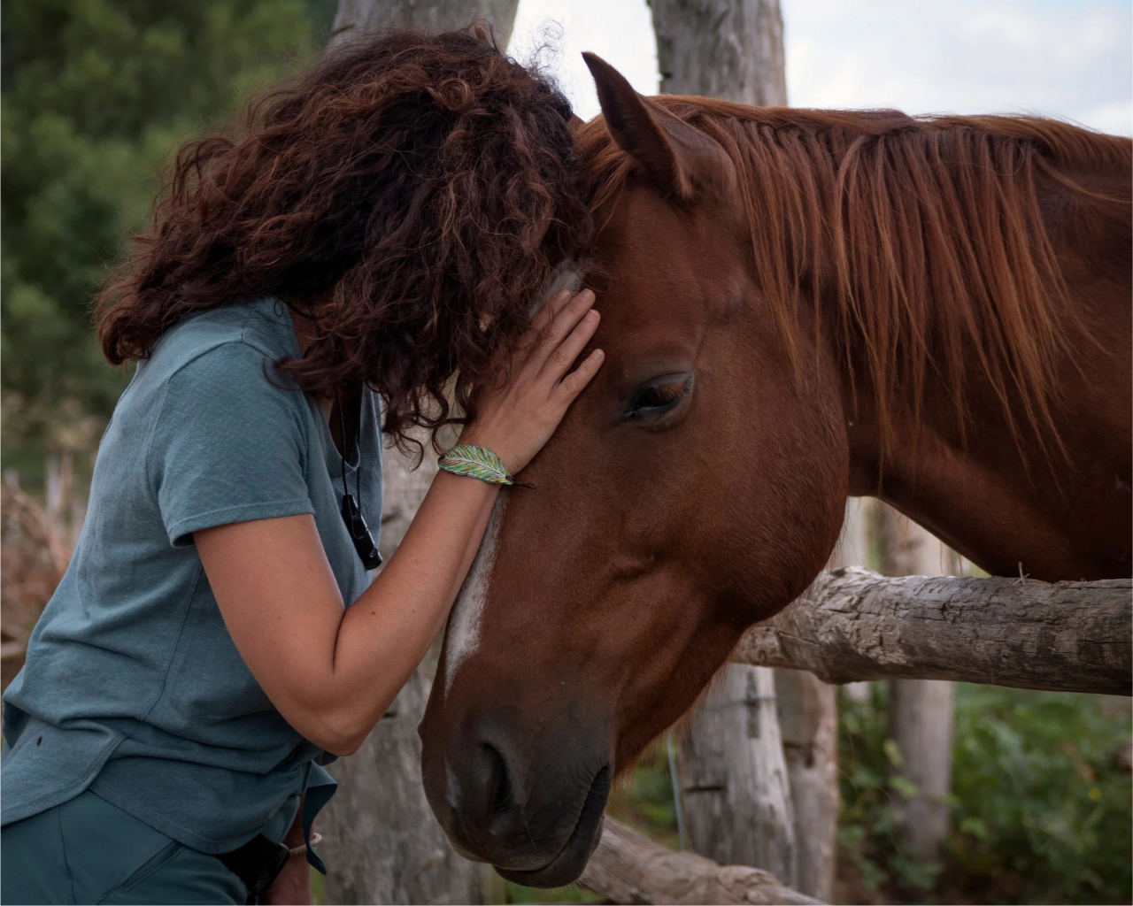 A woman with curly hair, wearing a blue shirt, touches foreheads with a brown horse behind a wooden fence.