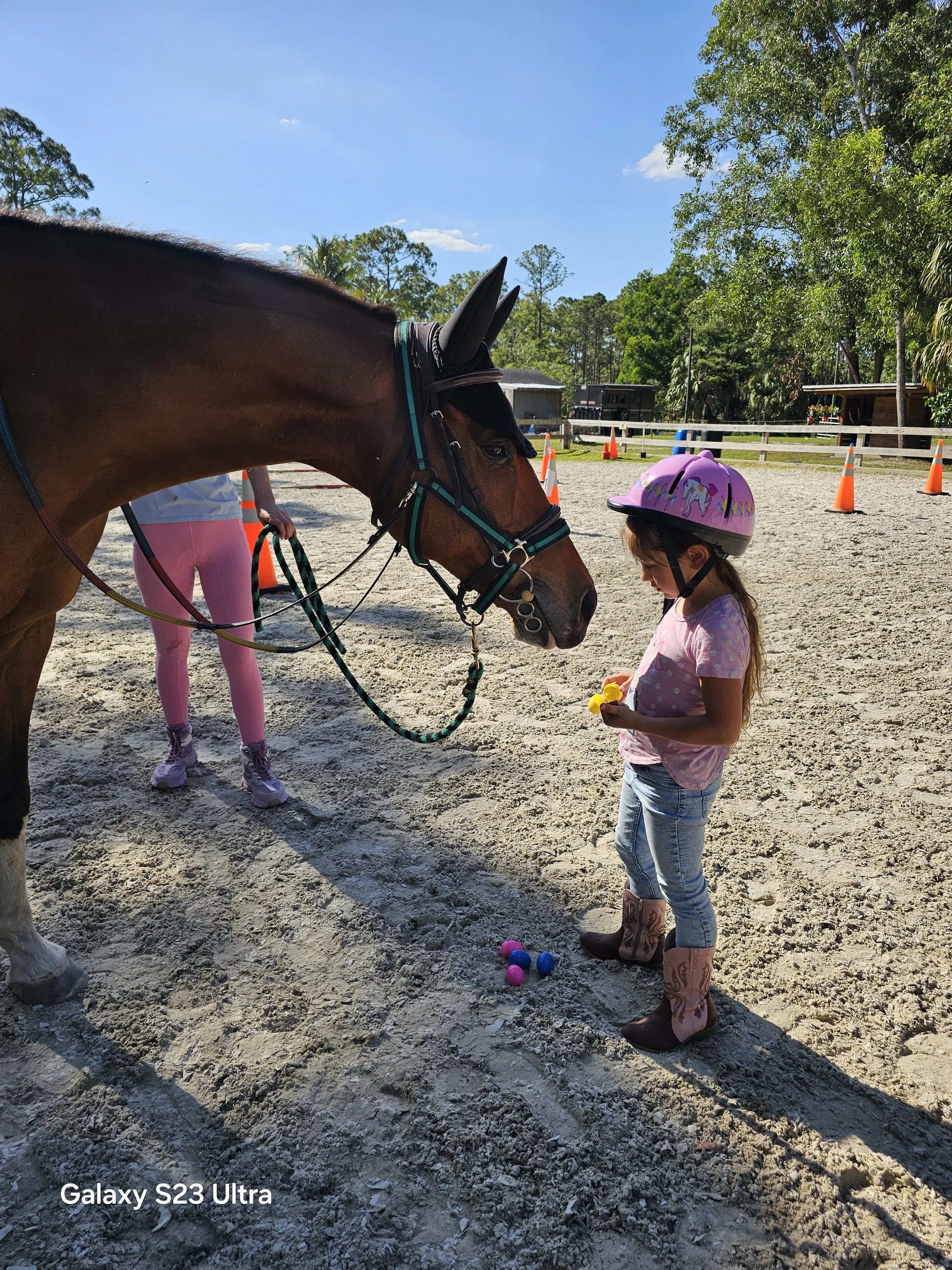 A young girl wearing a pink riding helmet, pink shirt, and jeans stands on a dirt riding arena holding a small rubber duck, facing a brown horse with a black mane and bridle. Several colorful balls are on the ground nearby.