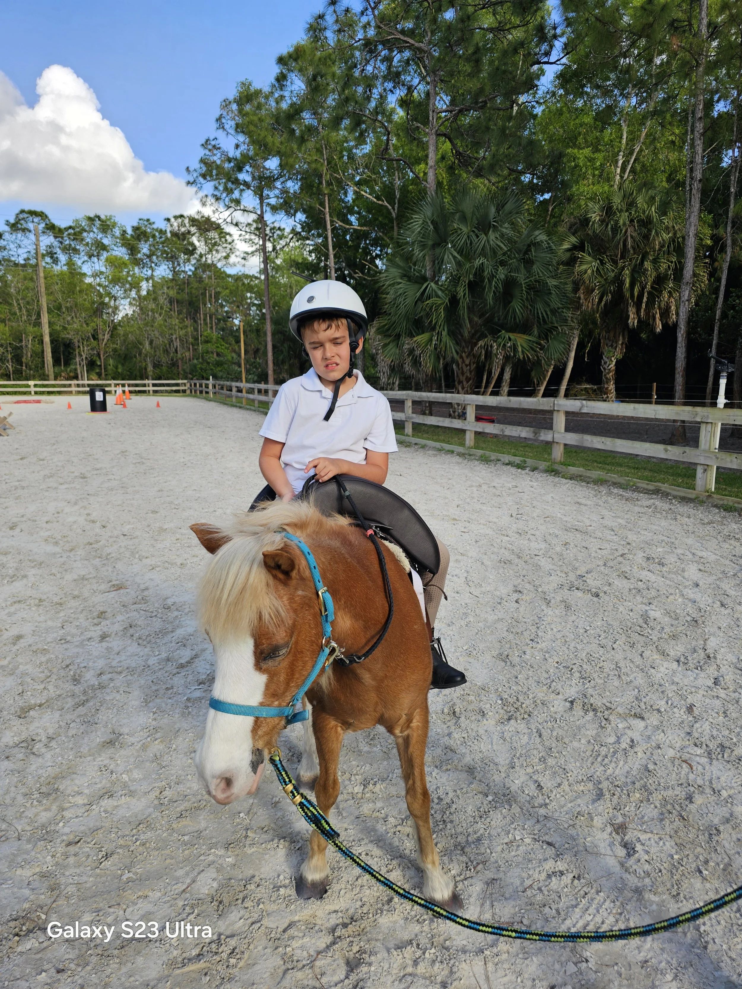 A young boy wearing a white helmet and white polo shirt is sitting on a small brown and white horse with a blue halter inside a sandy riding arena. The boy looks slightly uncomfortable or grimacing. The background features tall green trees and a blue