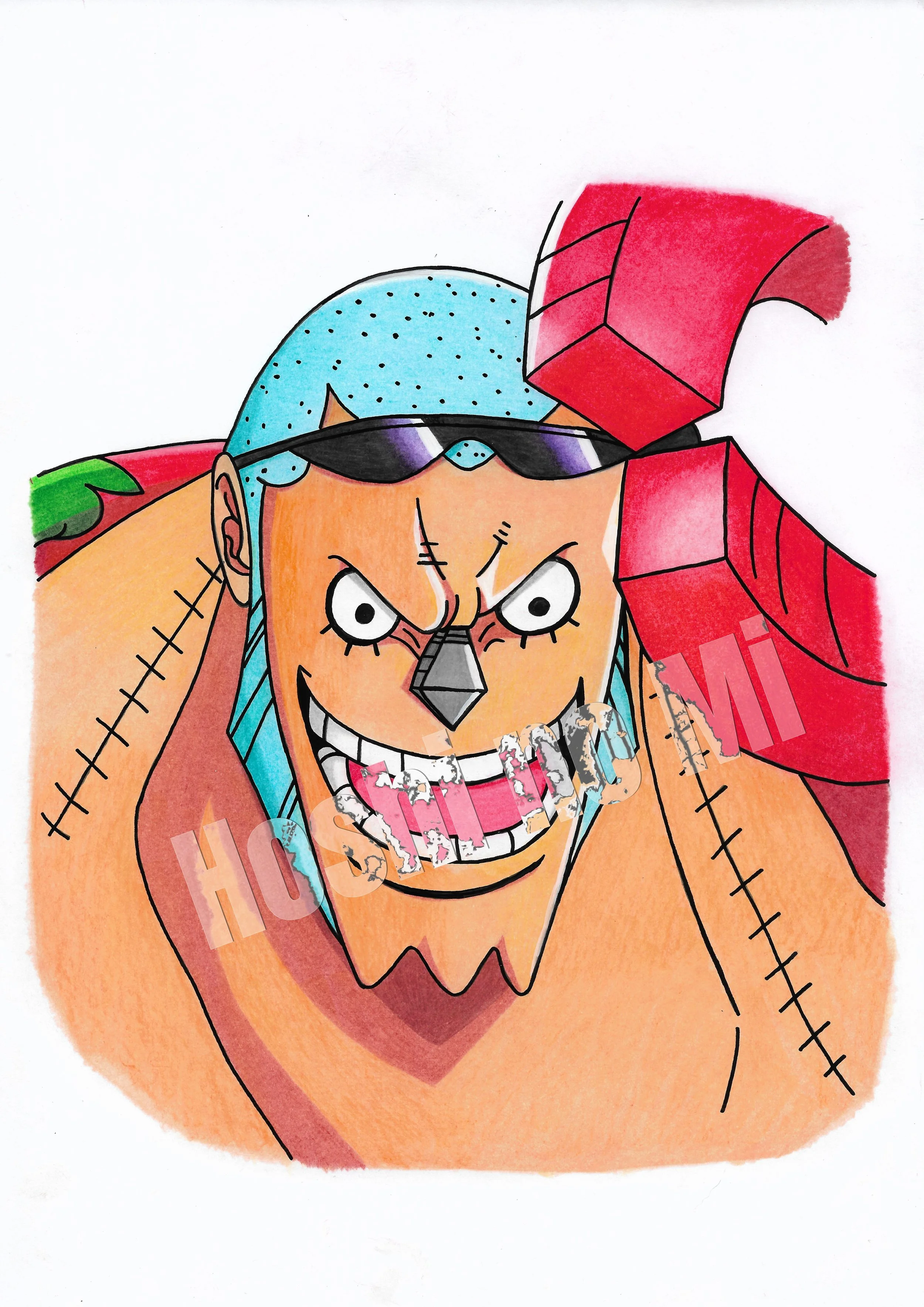 A4 Franky "One Piece"