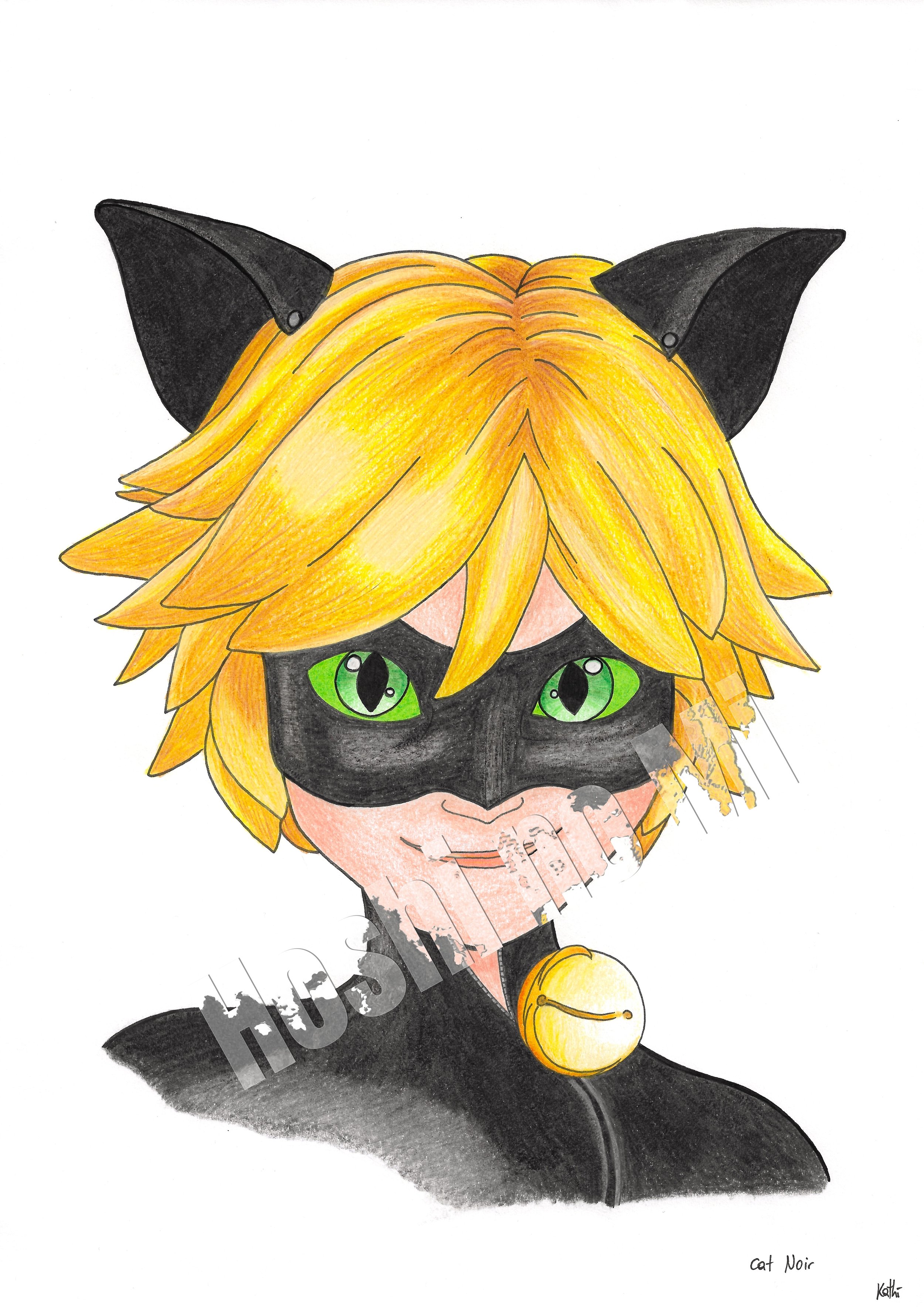 A4 Cat Noir "Miraculous"