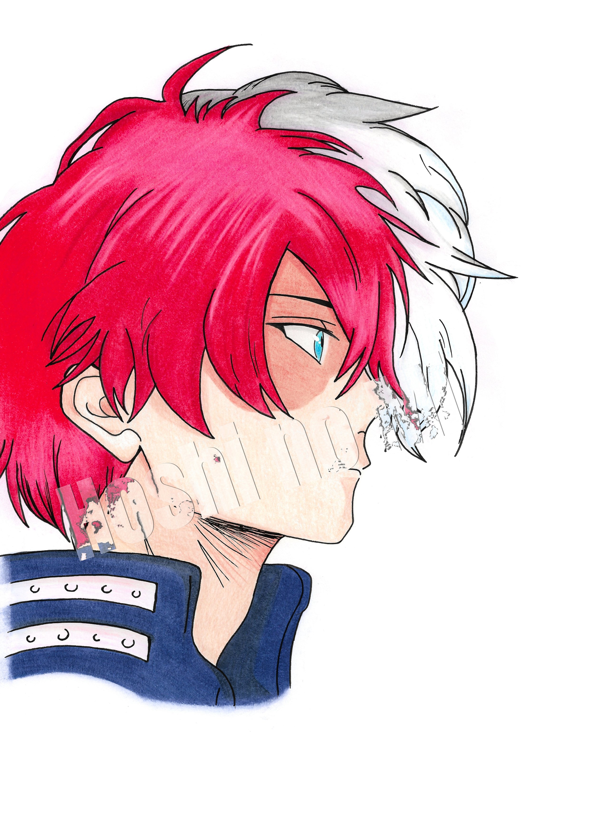 A4 Shoto Todoroki "My Hero Academia"