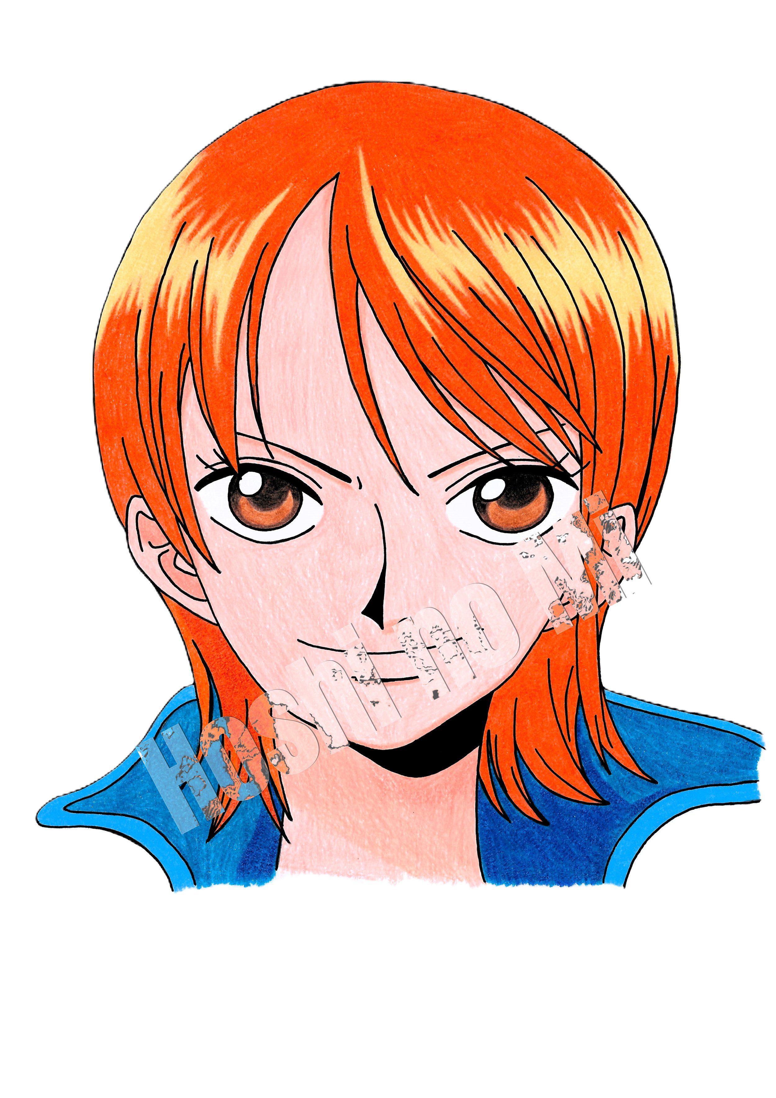 A4 Nami "One Piece"