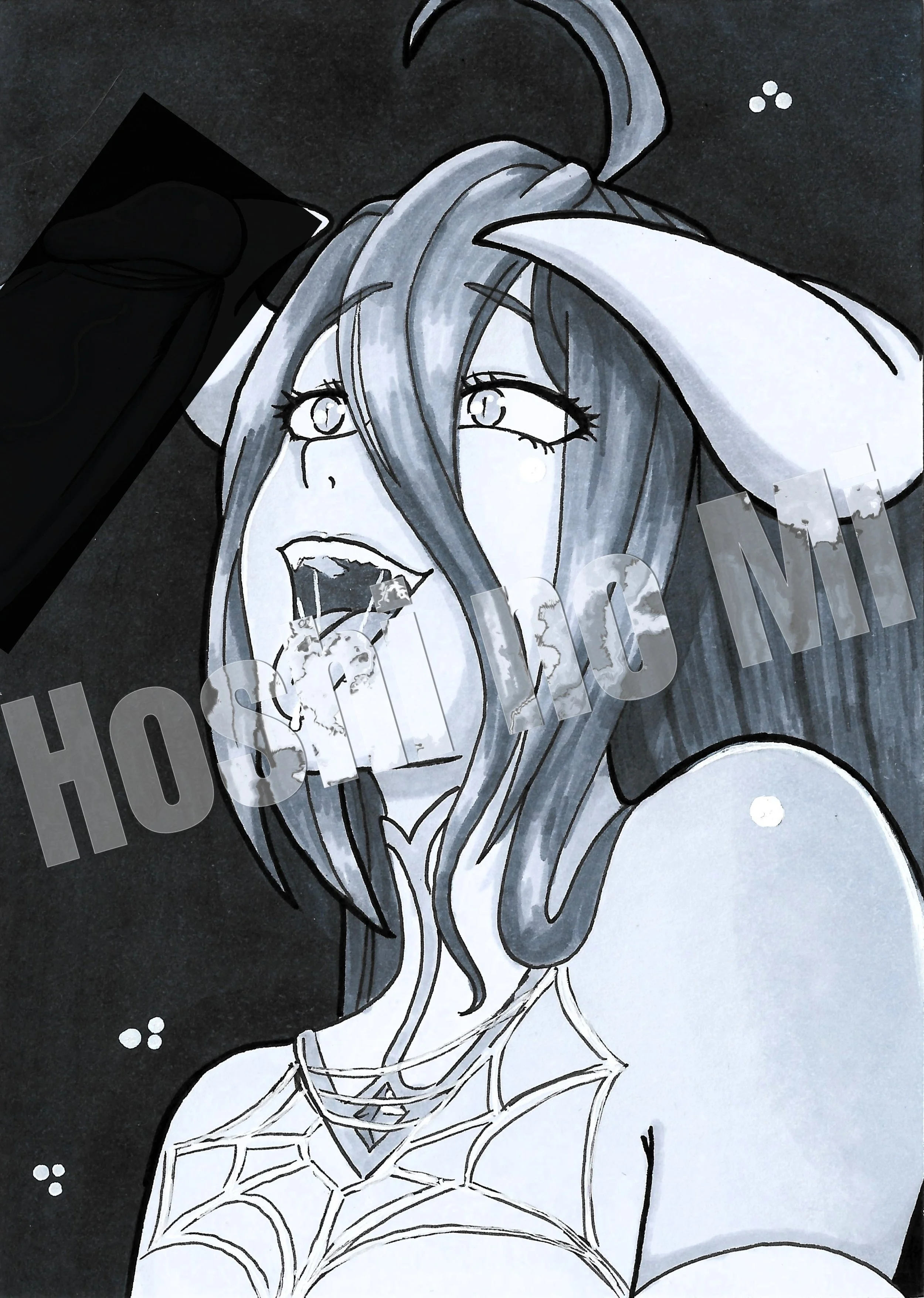 H13