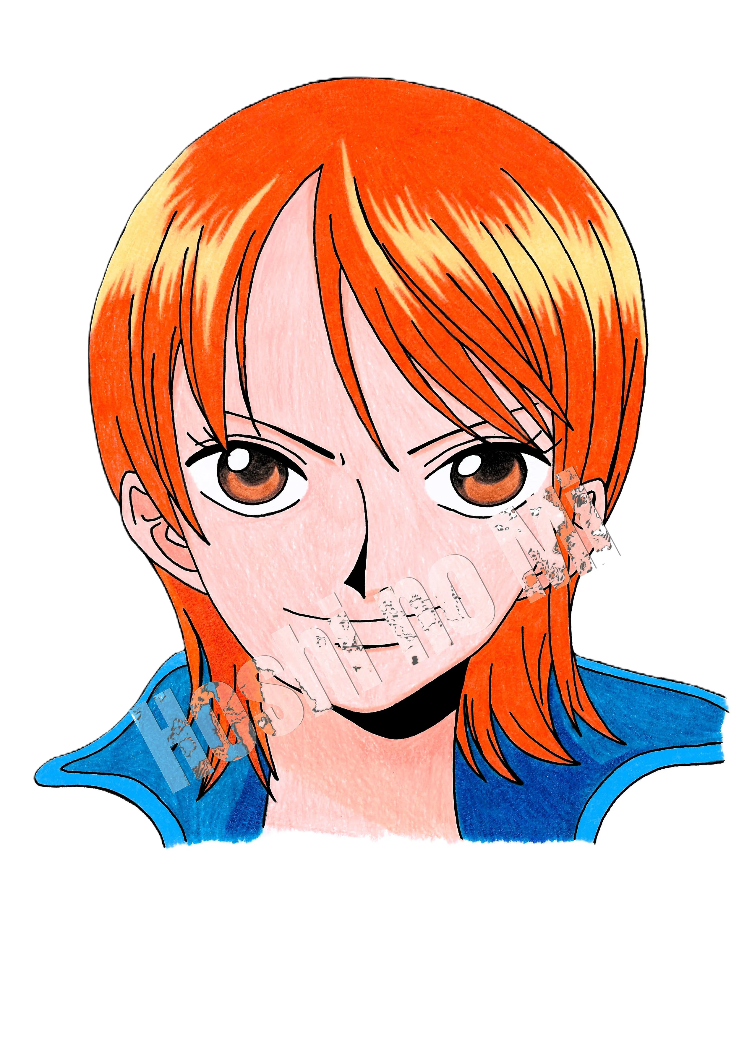 A4 Nami "One Piece"