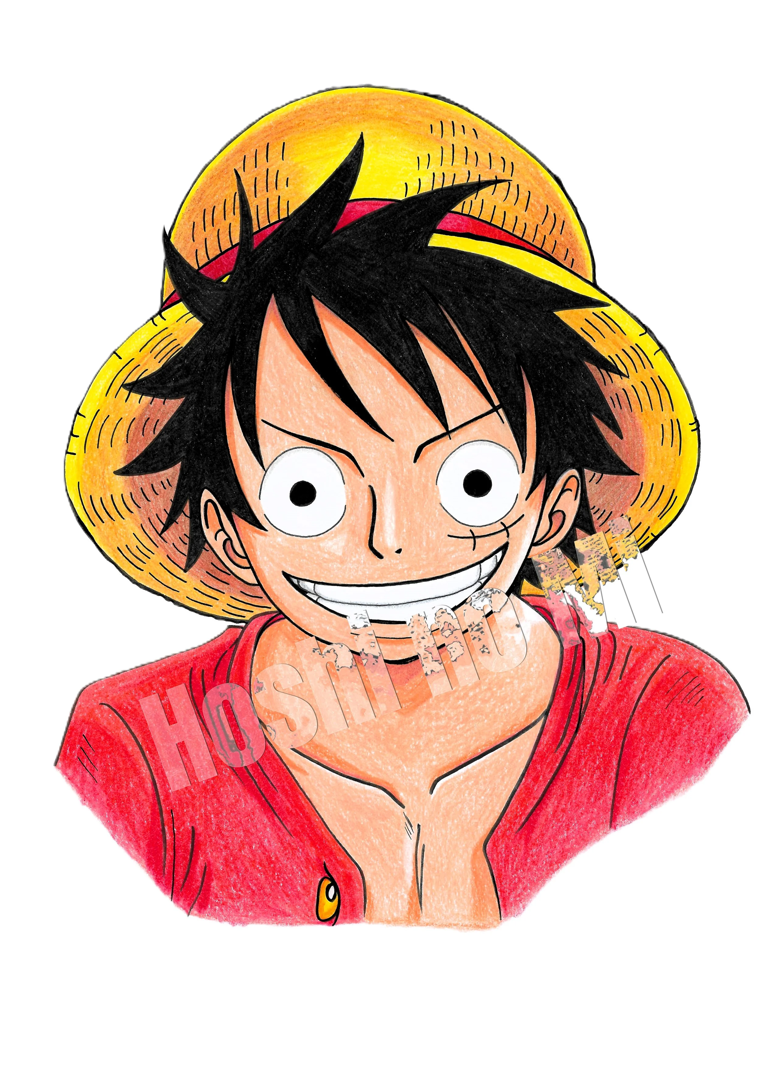 A4 Monkey D.Luffy "One Piece"
