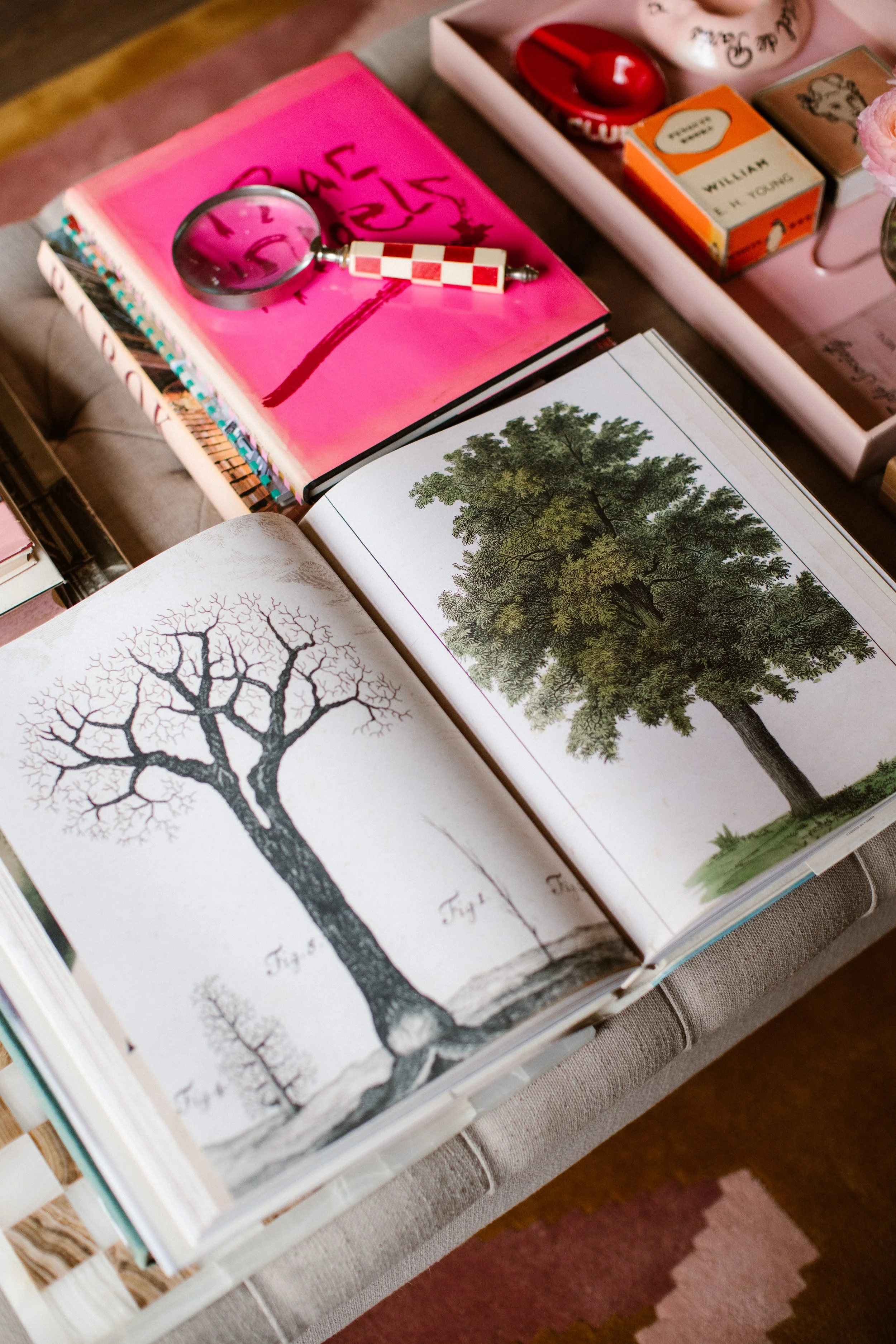Open book featuring detailed illustrations of various trees, including a black and white sketch of a leafless tree and a colored drawing of a lush green tree.