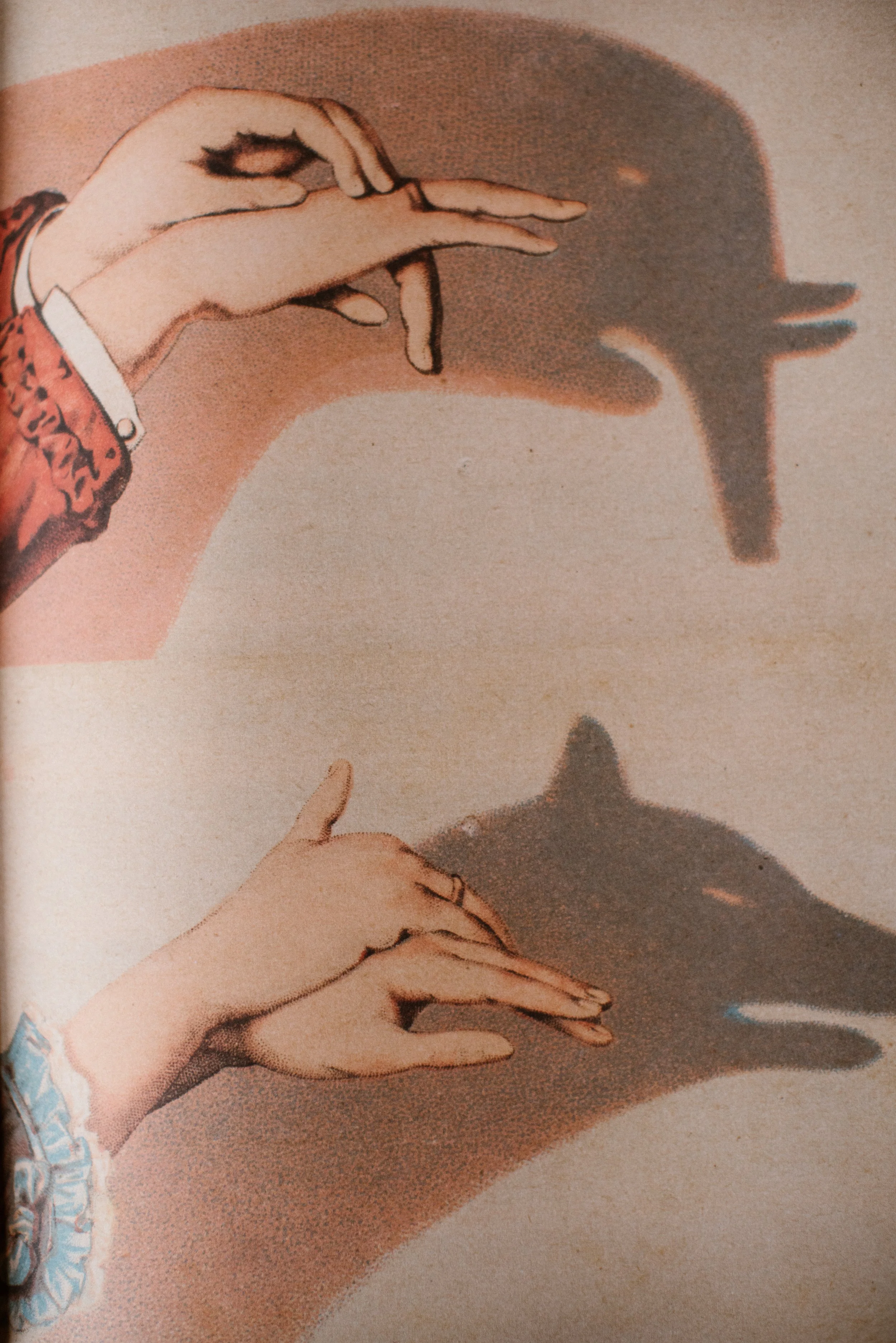 Drawing of a hand with fingers touching, casting a shadow that resembles a bird in flight.