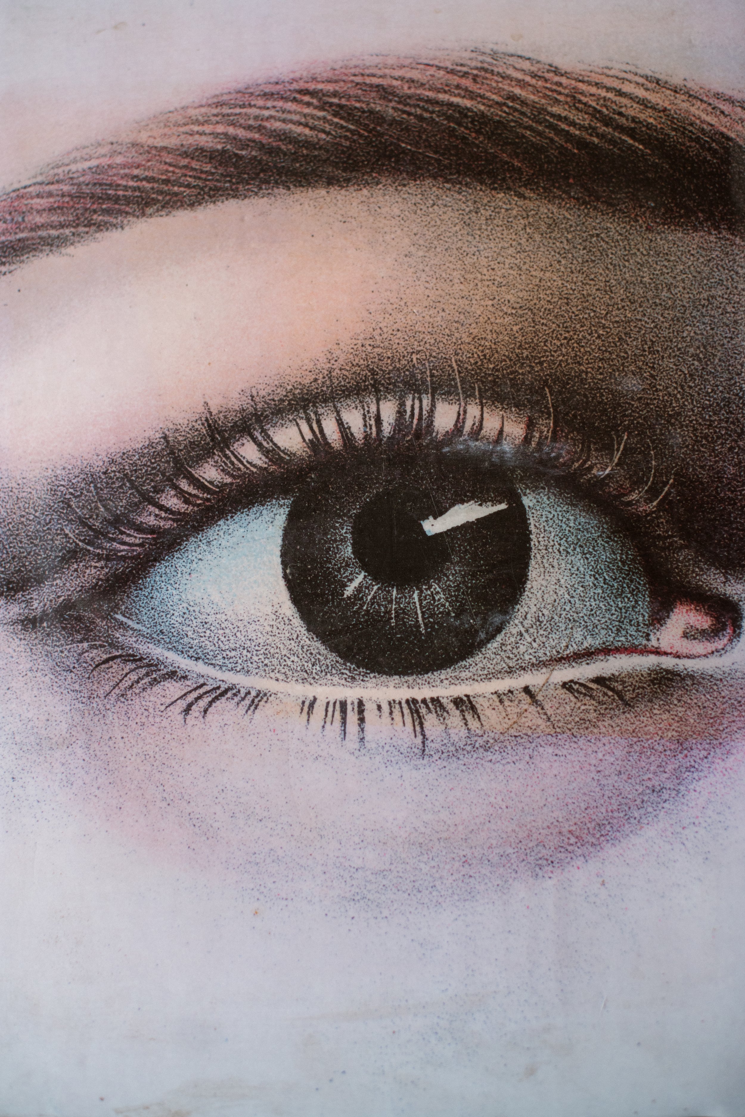 Close-up of a human eye with detailed eyelashes and eyebrow, with a focus on the iris and pupil.