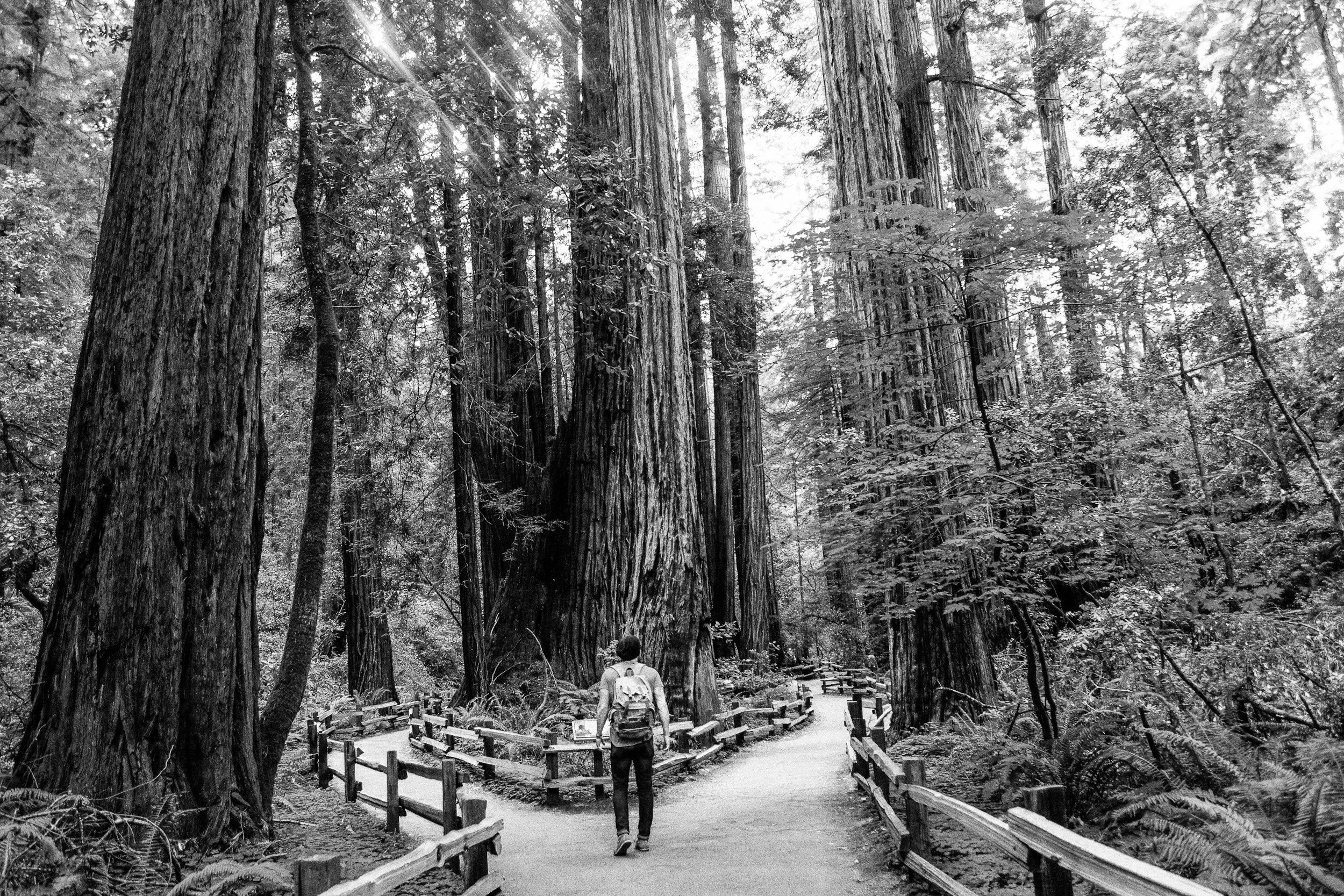 Personal Finance coach and consultant in Charlottesville Virginia to assist in personal expenses and debt peace of mind for you and your family.