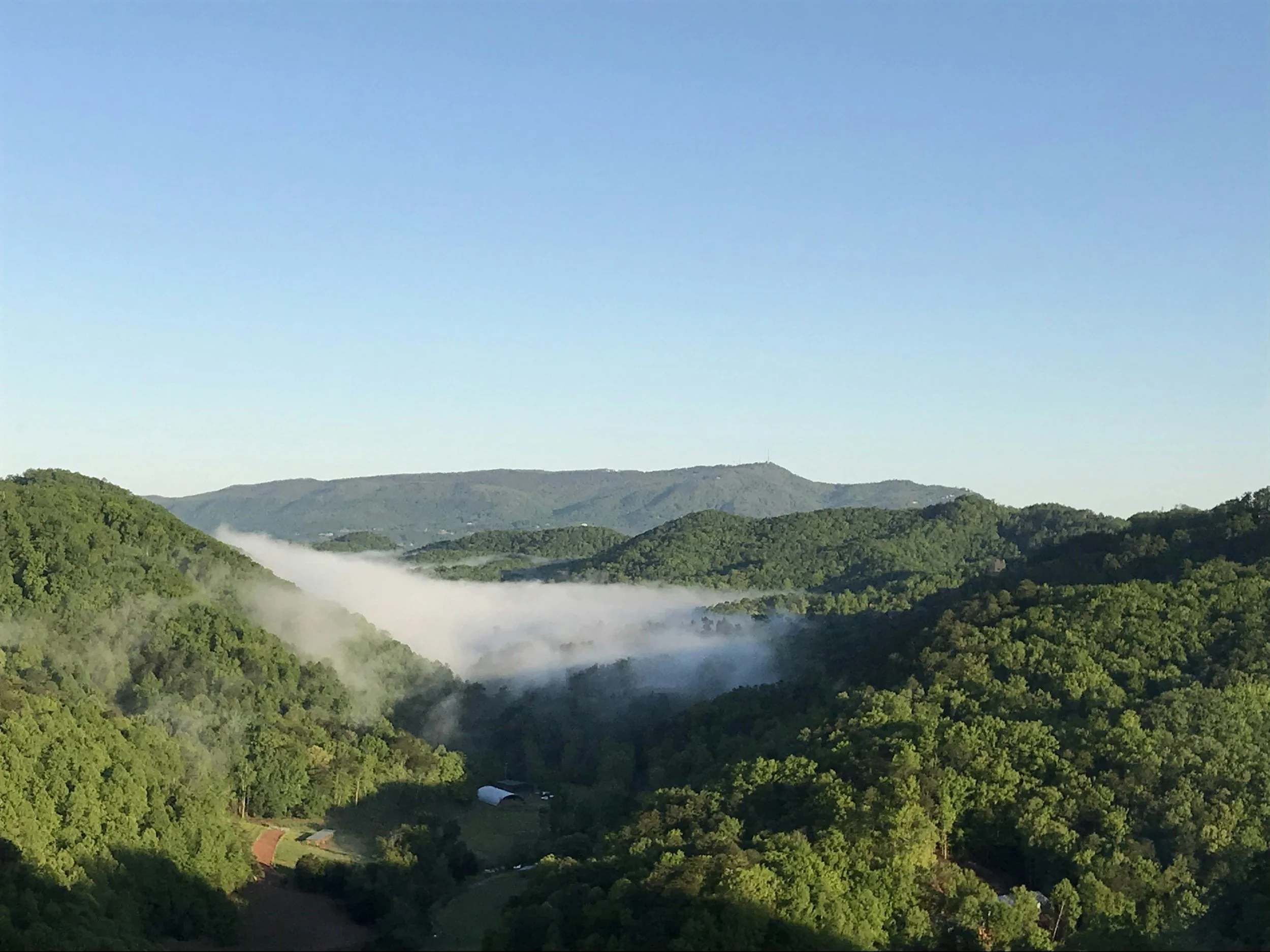 Sunrise over green, forested hills with mist in a valley and a clear blue sky.