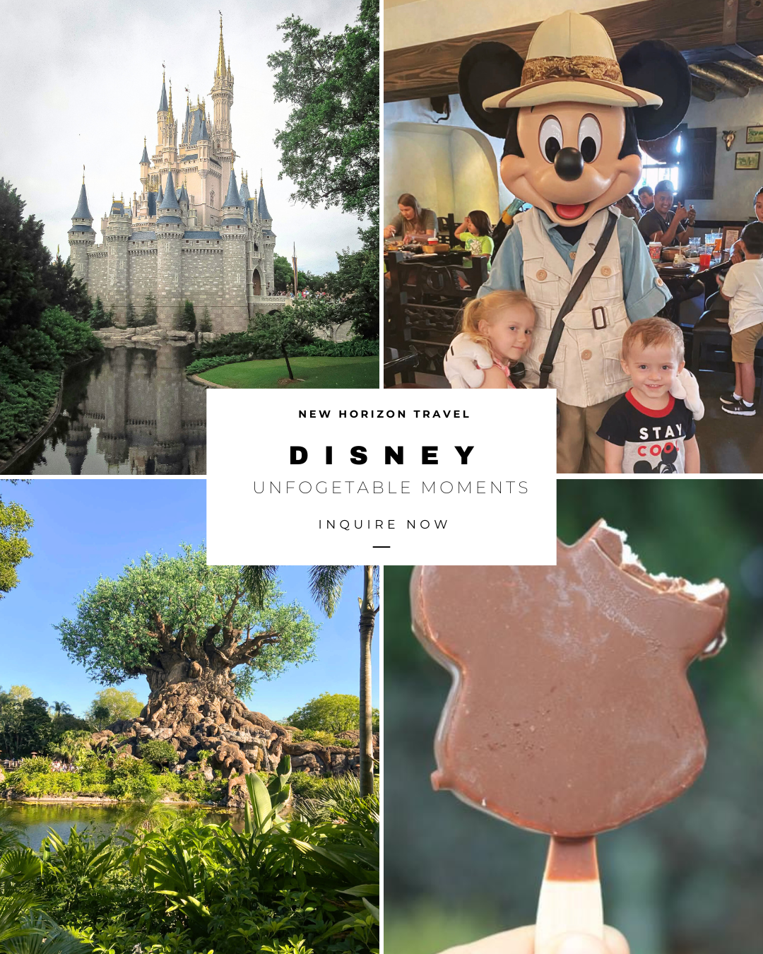 A collage featuring Disney landmarks, characters, and attractions: Cinderella's Castle, Mickey Mouse in explorer outfit with children, the Tree of Life at Animal Kingdom, and a chocolate ice cream shaped like a bear.