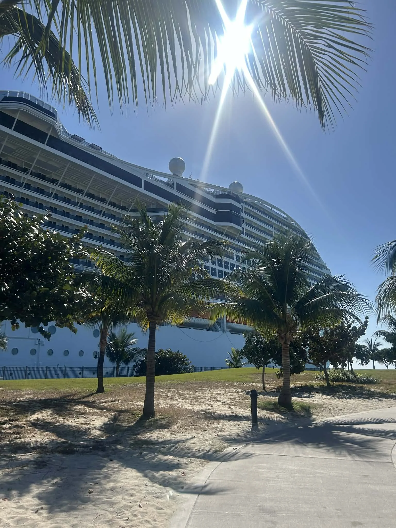 A cruise ship docked near a sandy beach with palm trees and lush greenery, under a clear blue sky with bright sunlight.
