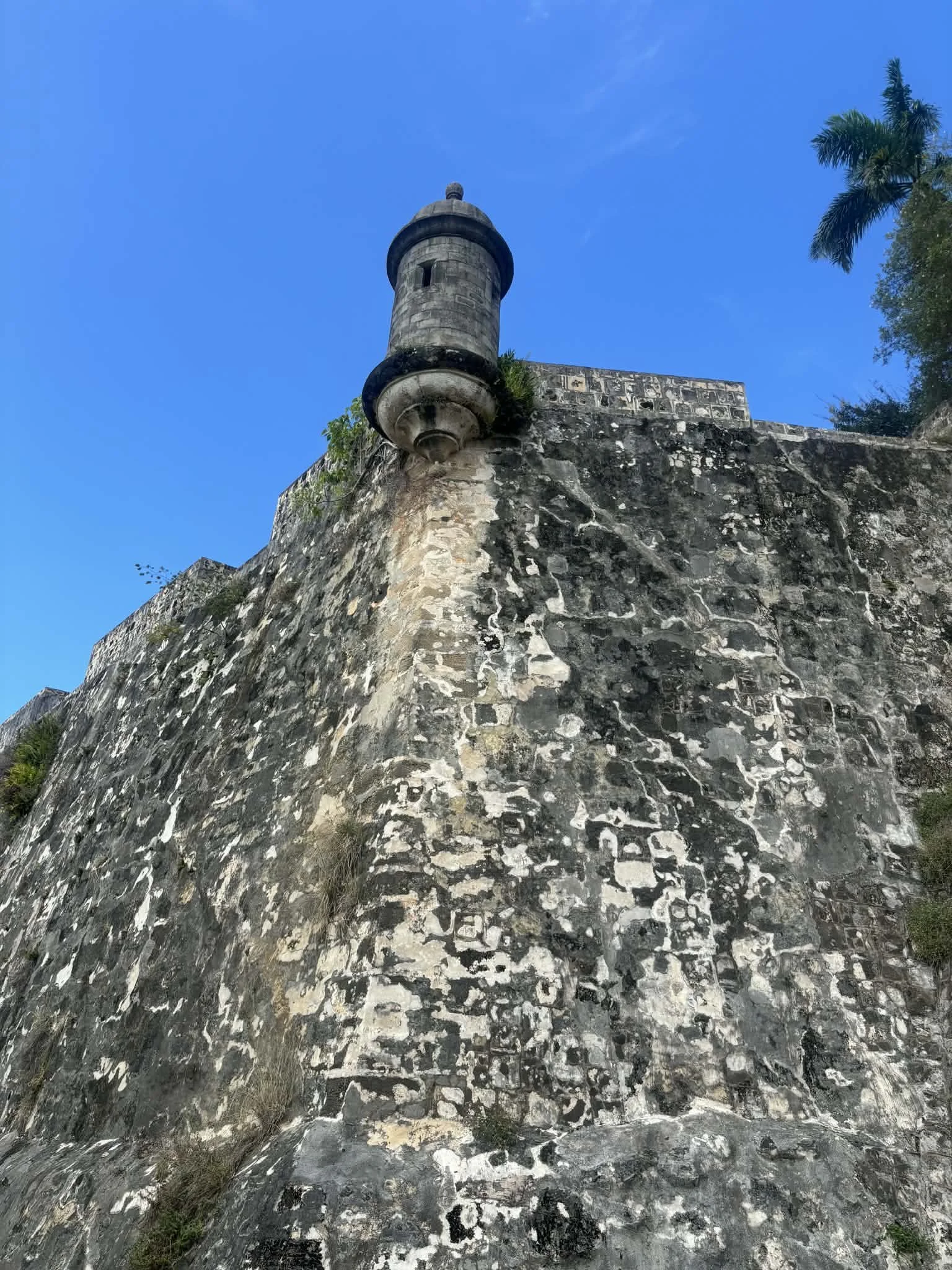 View of a historic stone fortress wall with a small tower on top, surrounded by green trees and set against a bright blue sky.