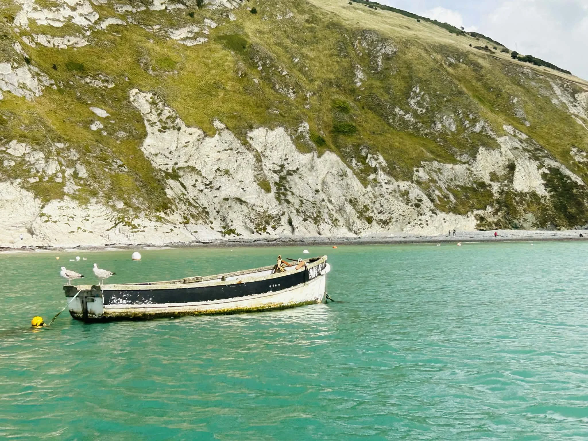 A boat floating on turquoise water near a rocky shoreline with green hills and a few seagulls resting on the boat.