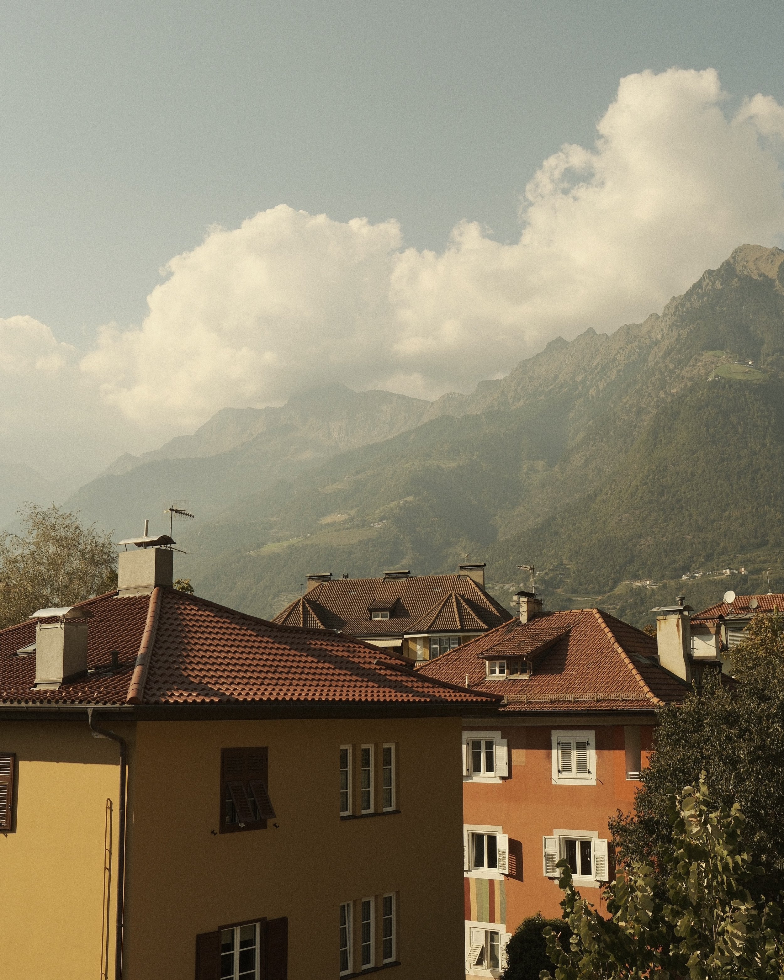 DSCF4436.jpg