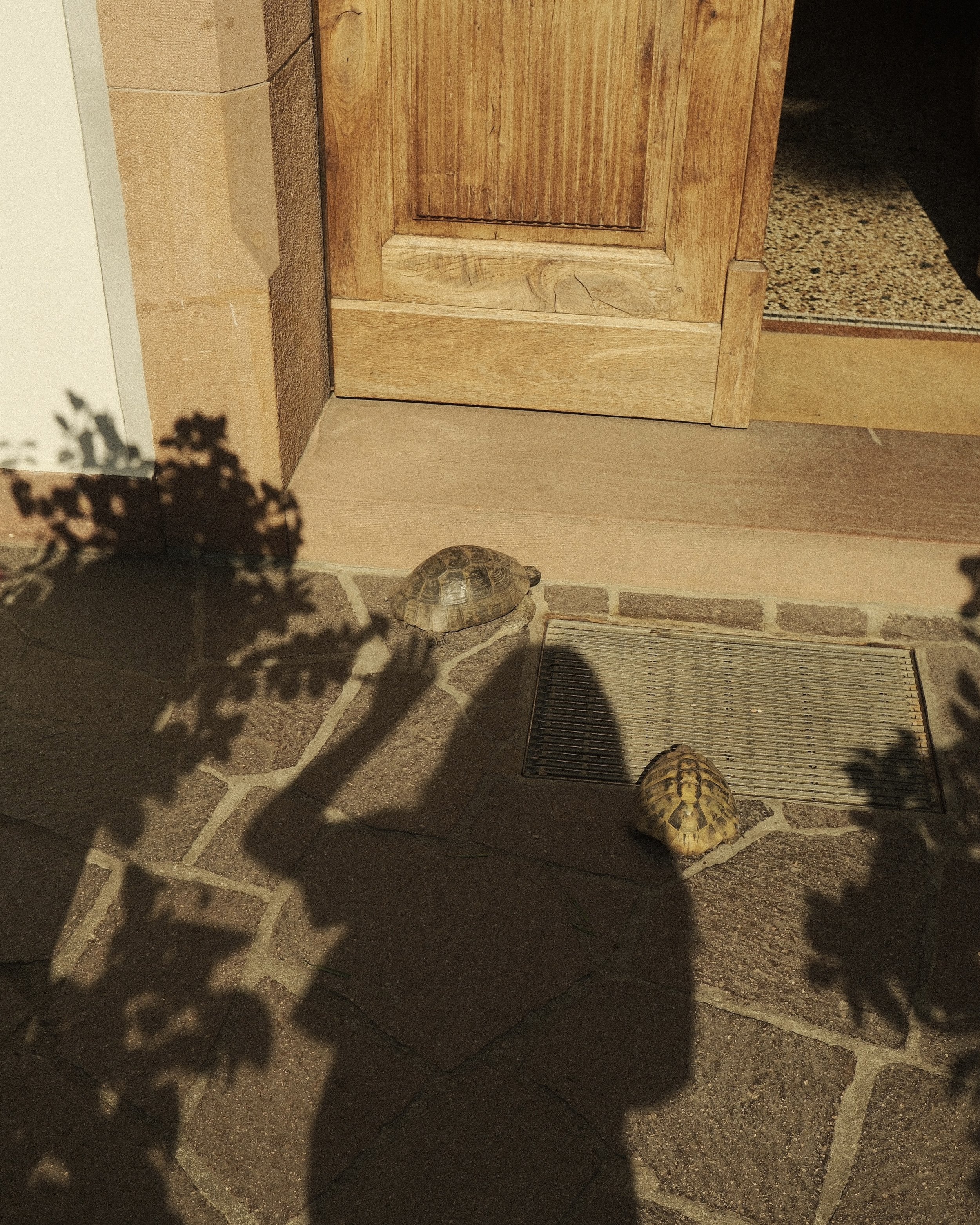 DSCF4350.jpg