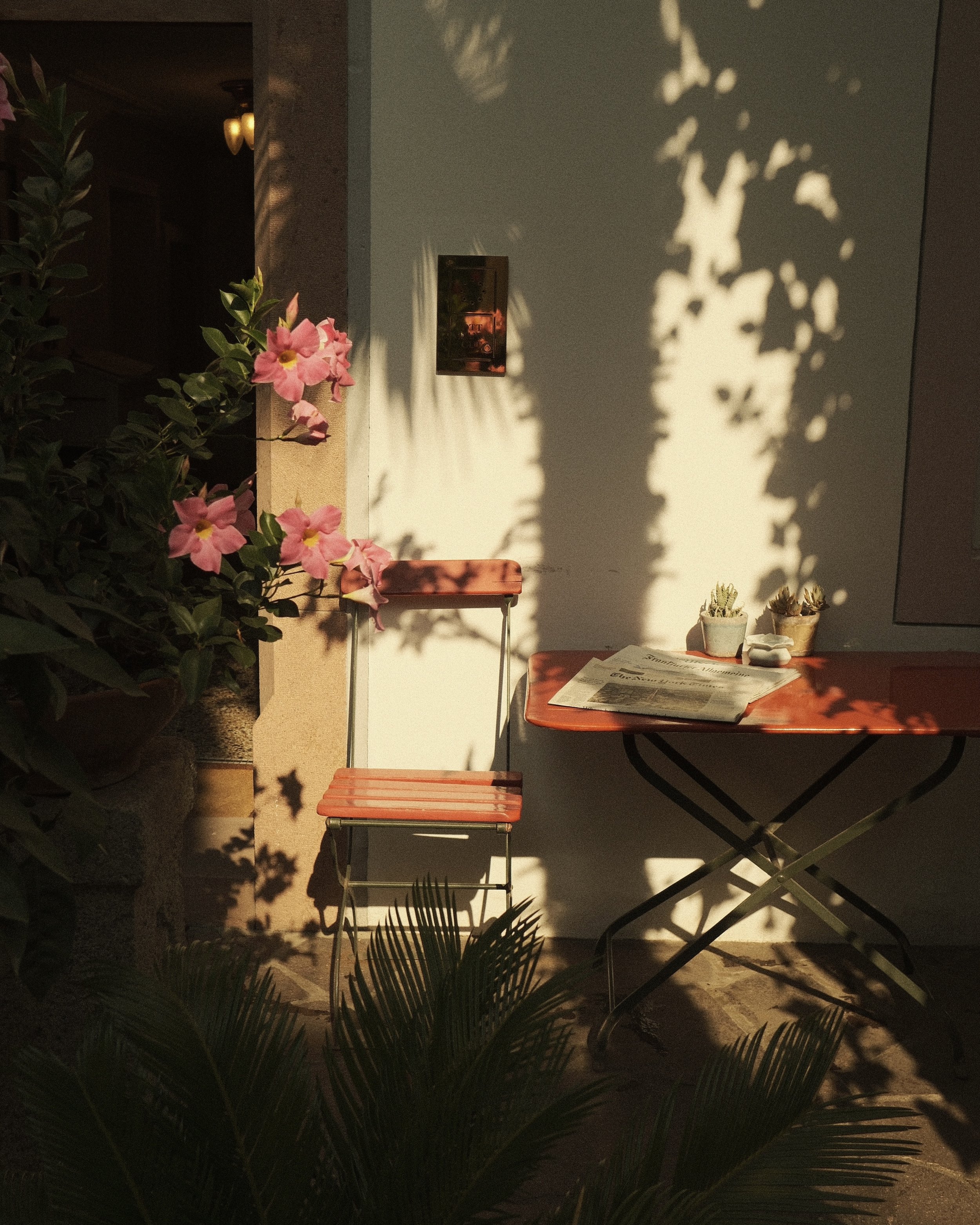 DSCF4337.jpg