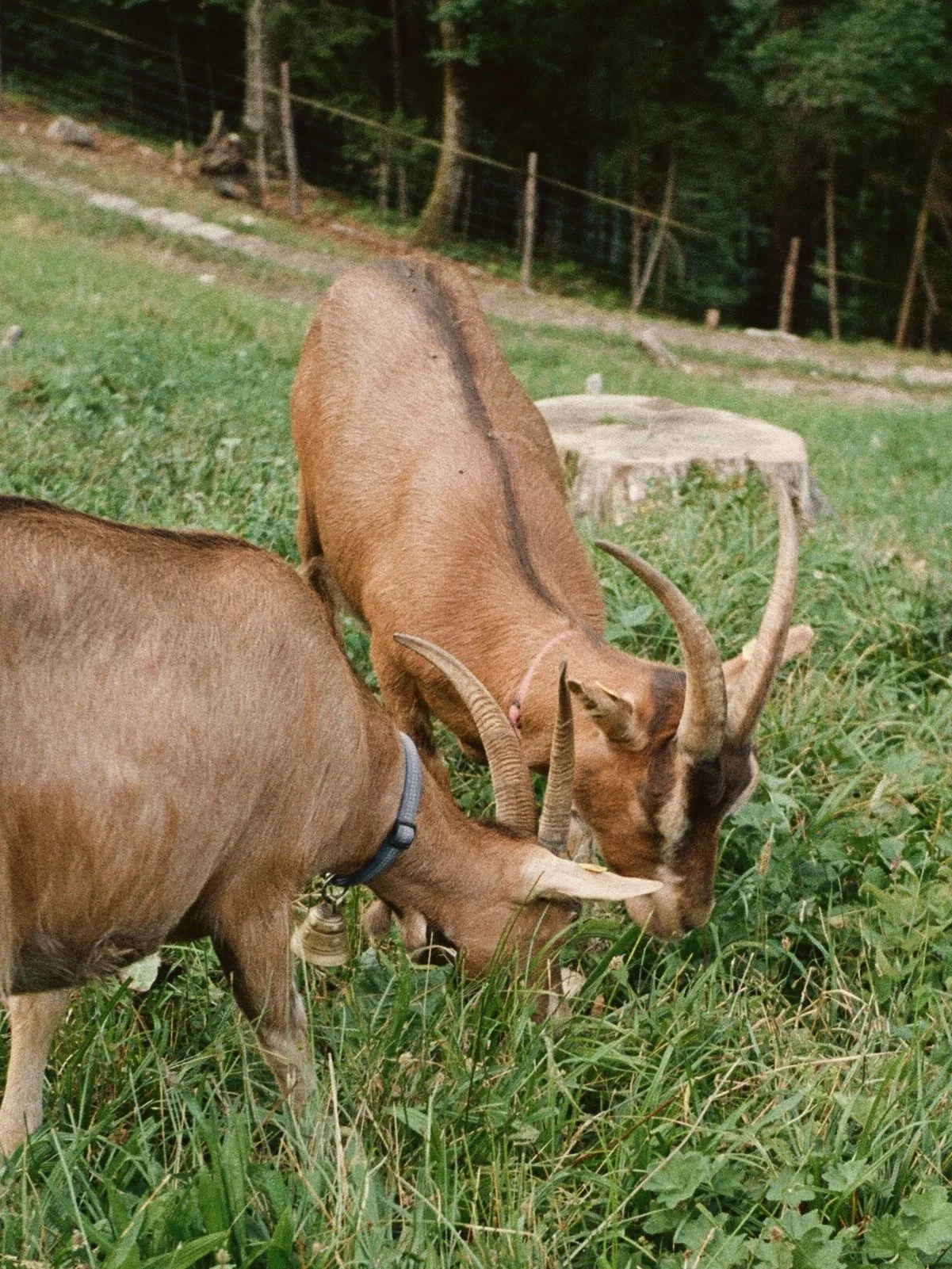 64076-000640760015-gv0N.jpg