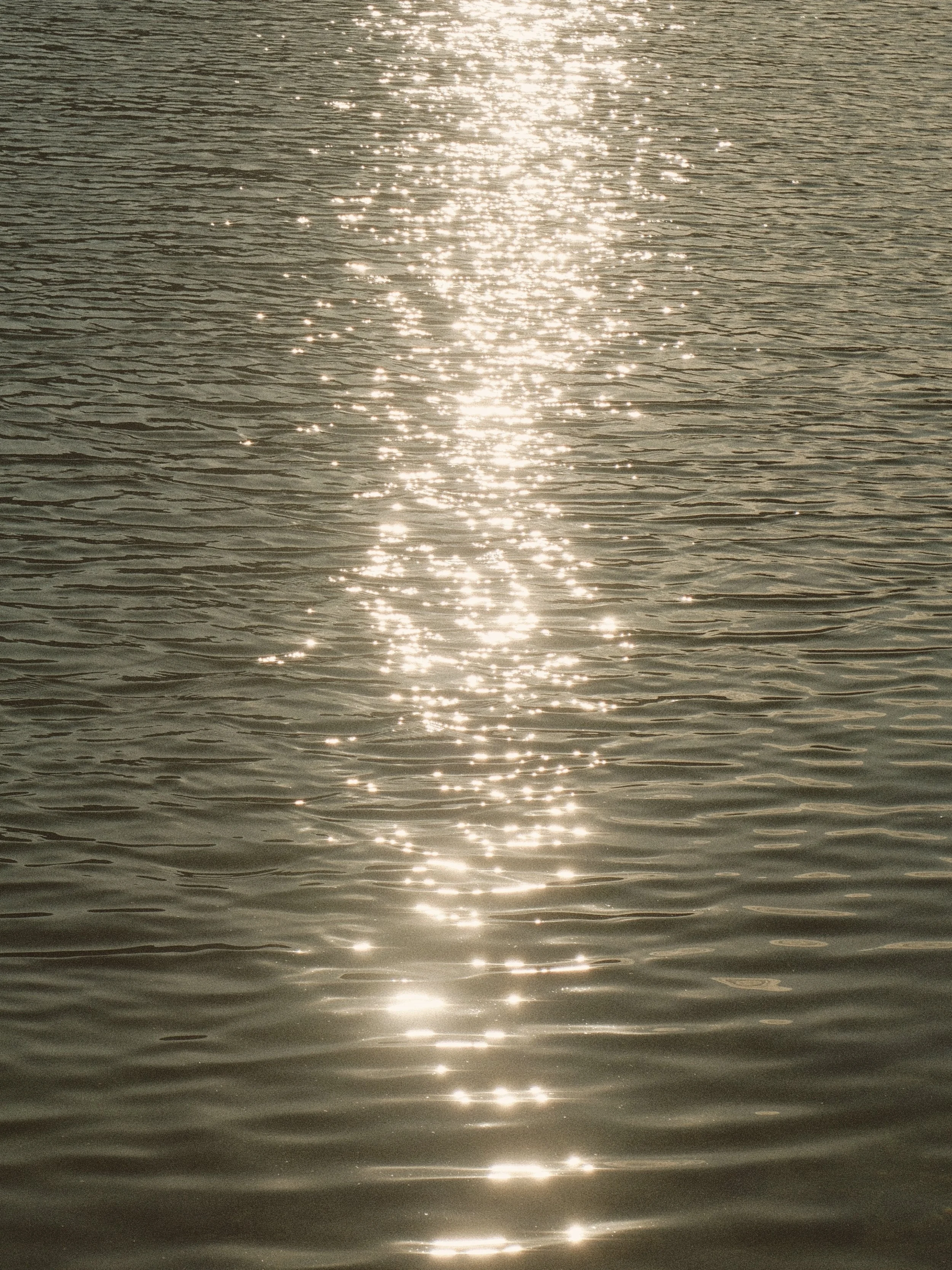 DSCF2757.jpg