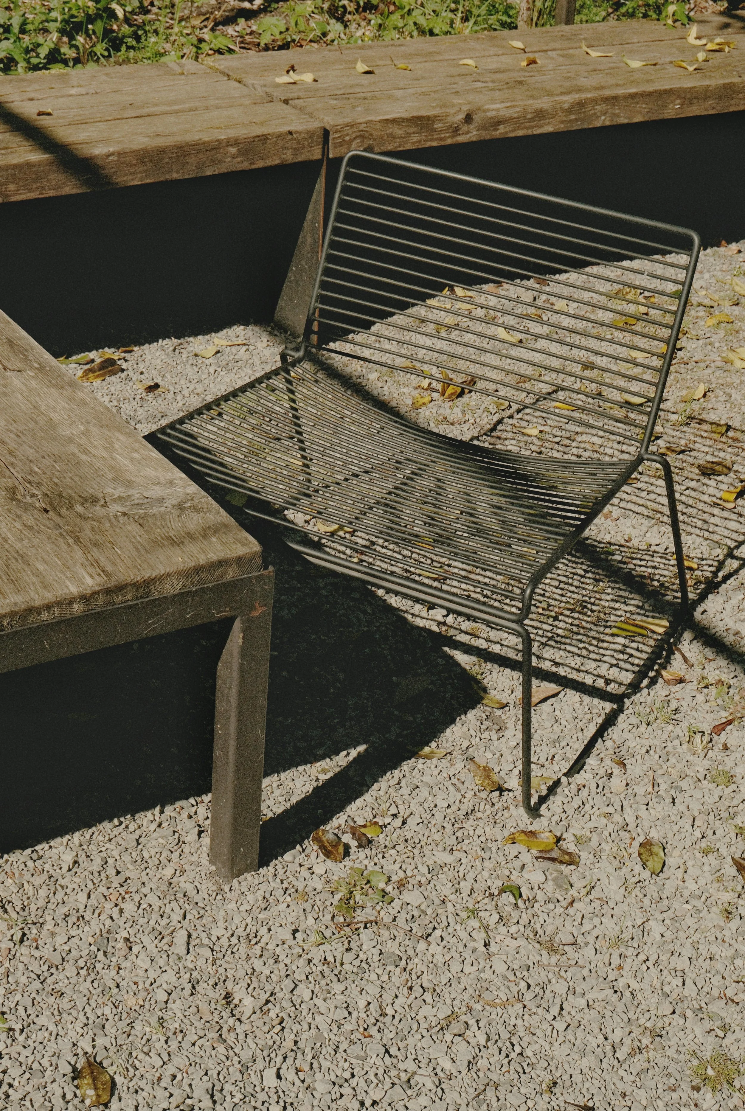 DSCF1171.jpg