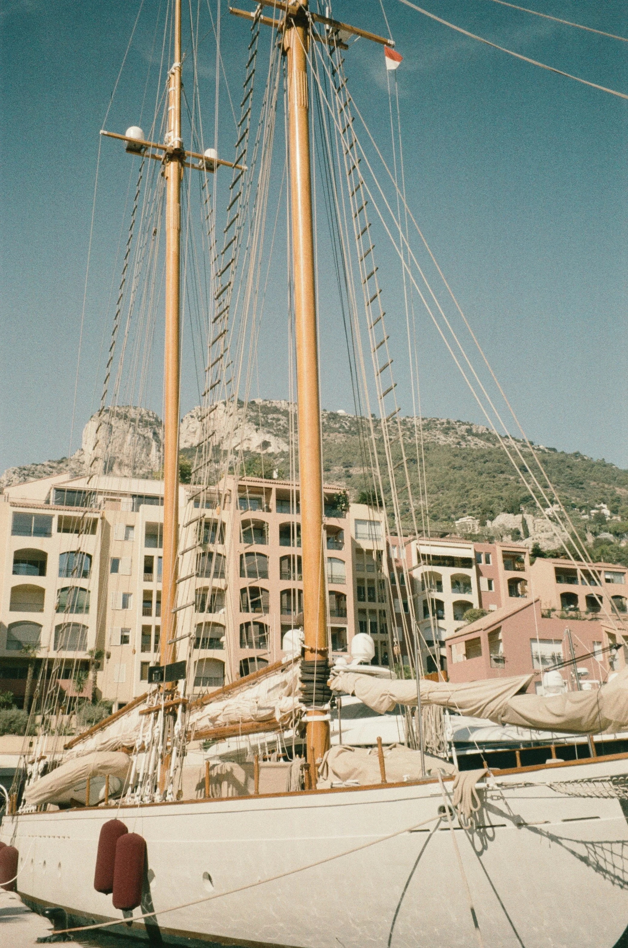 IMG_3597.jpg