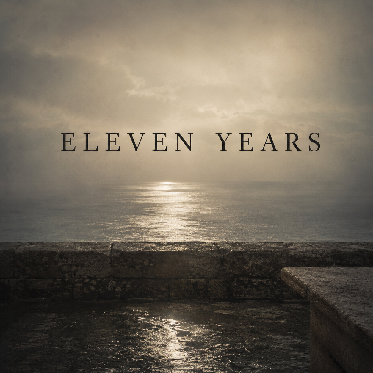 eleven Years.png
