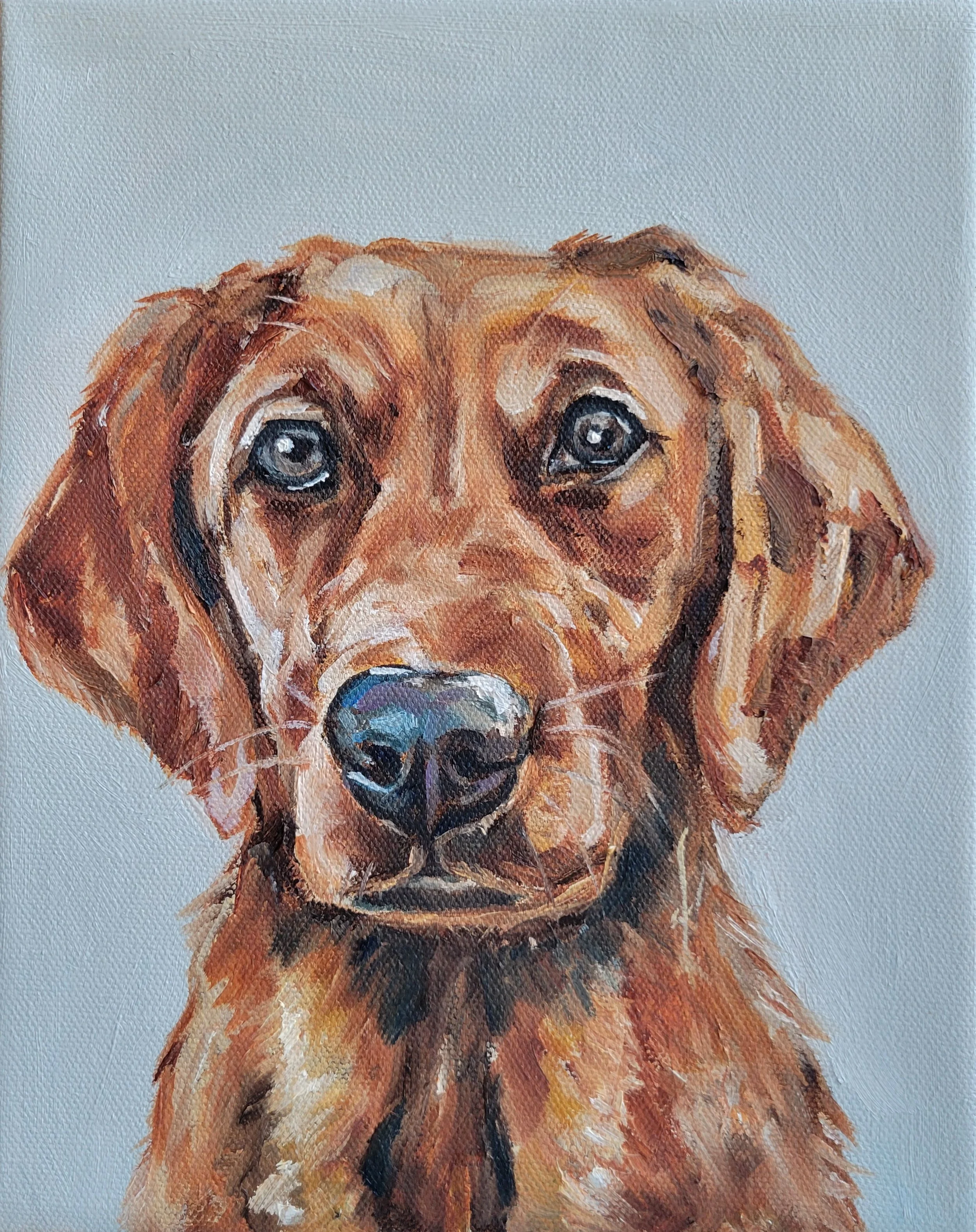 Goldador I, 8"x10", Oil on Canvas 
SOLD
