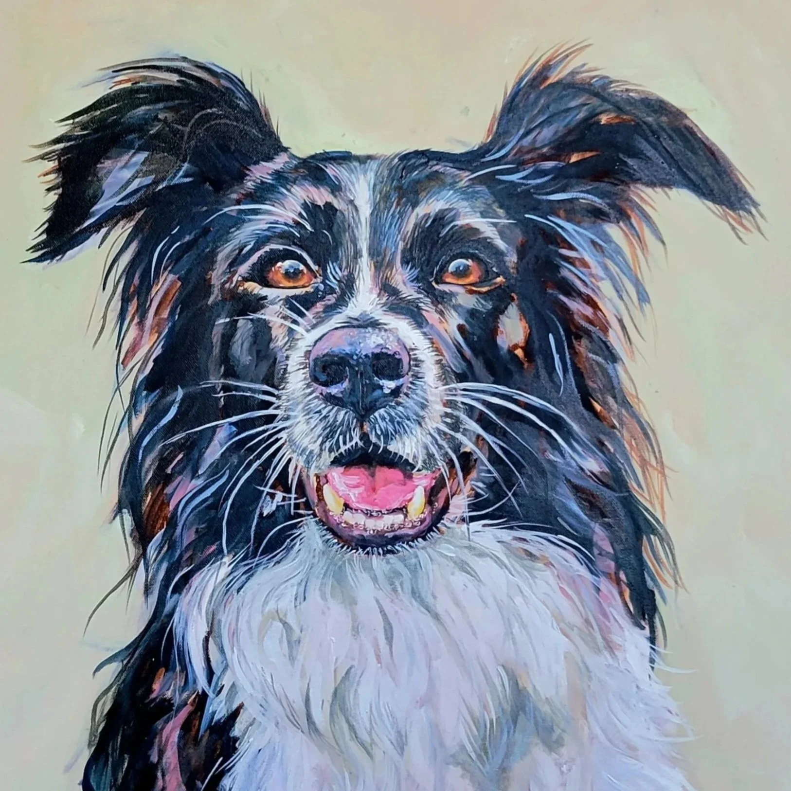 Close-up portrait of a black and white dog with a joyful expression, mouth open, and tongue visible, against a plain background.
